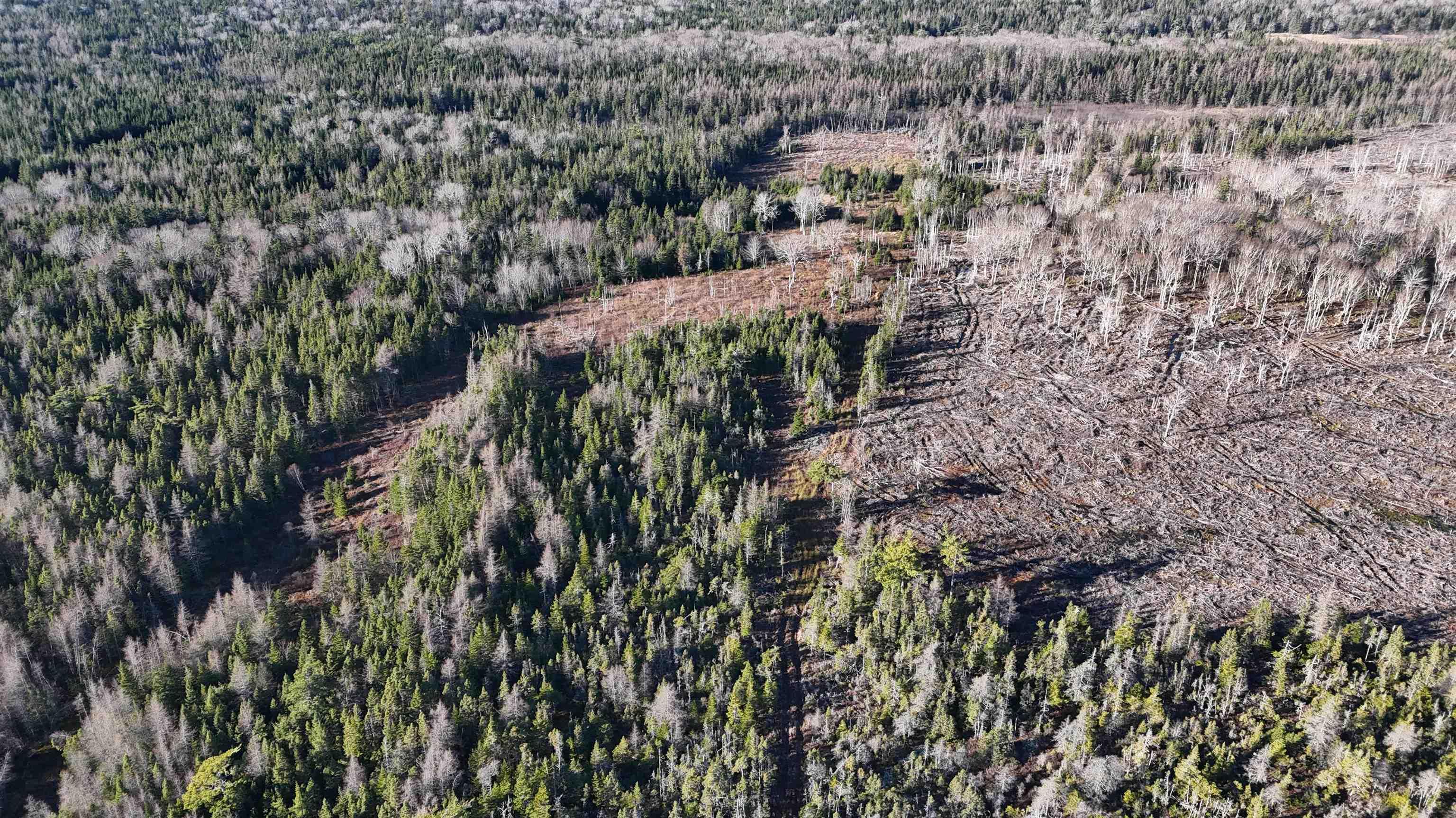 $75,000.00: Salmon River Road, Enon