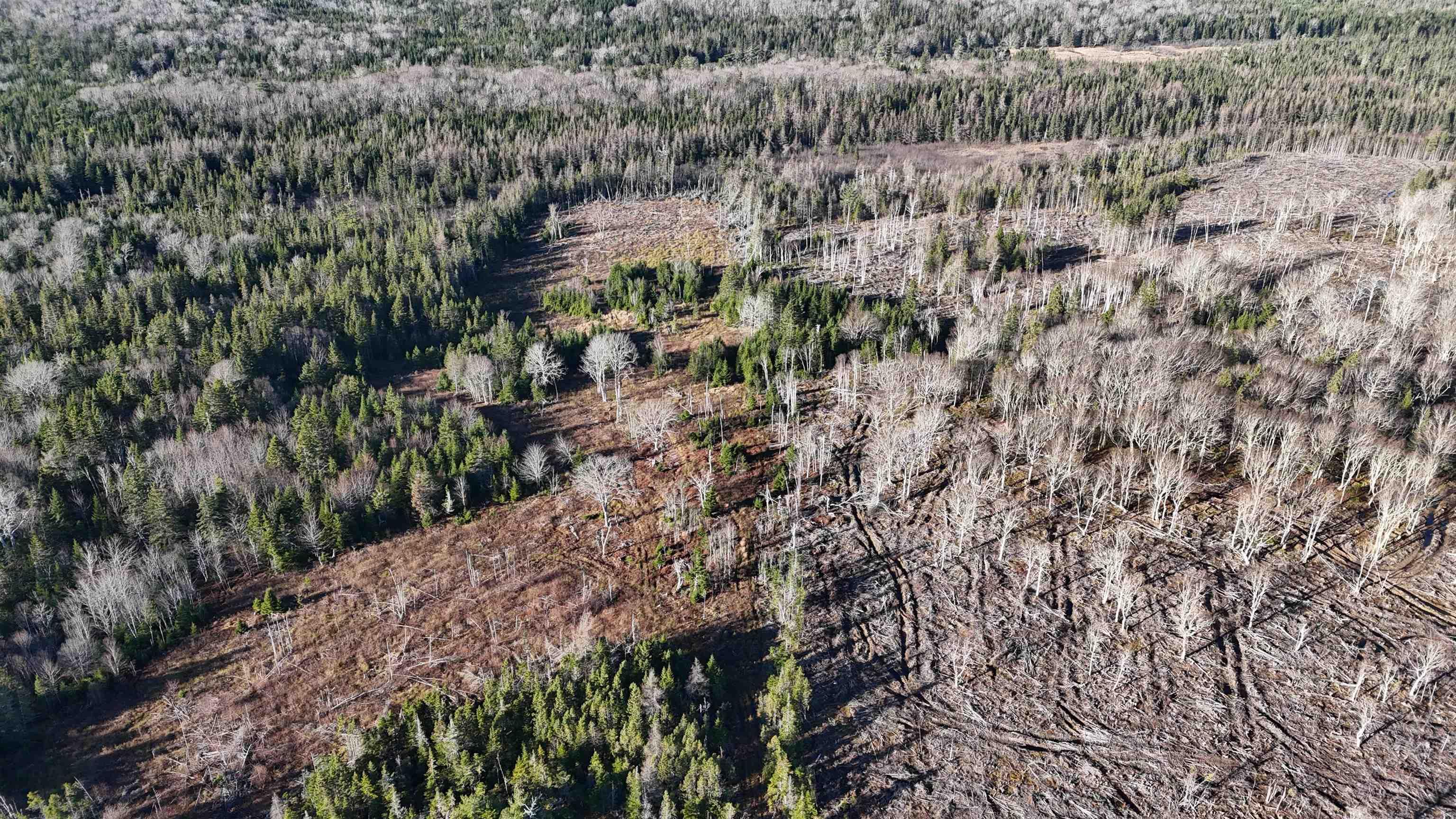 $75,000.00: Salmon River Road, Enon