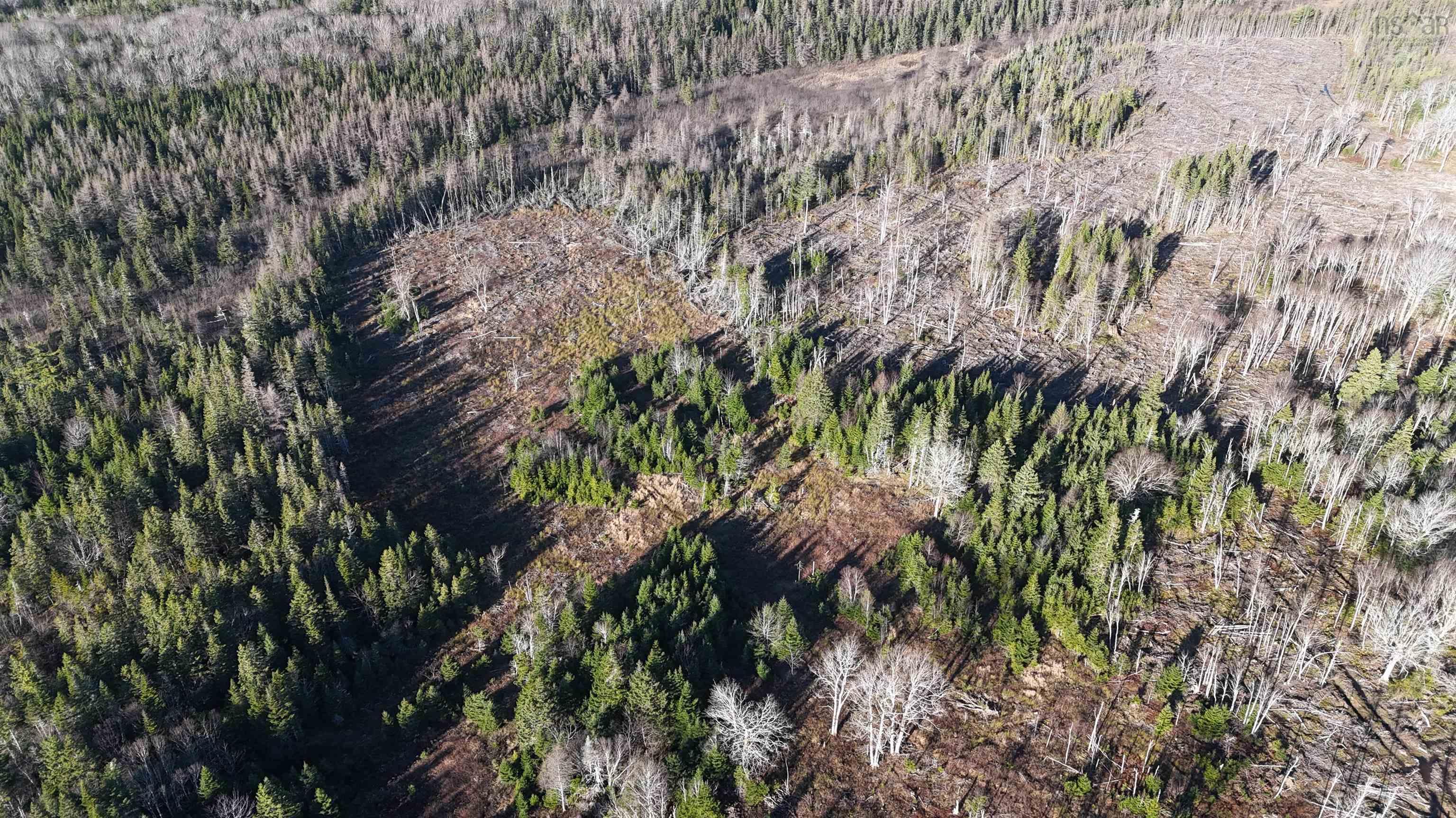 $75,000.00: Salmon River Road, Enon