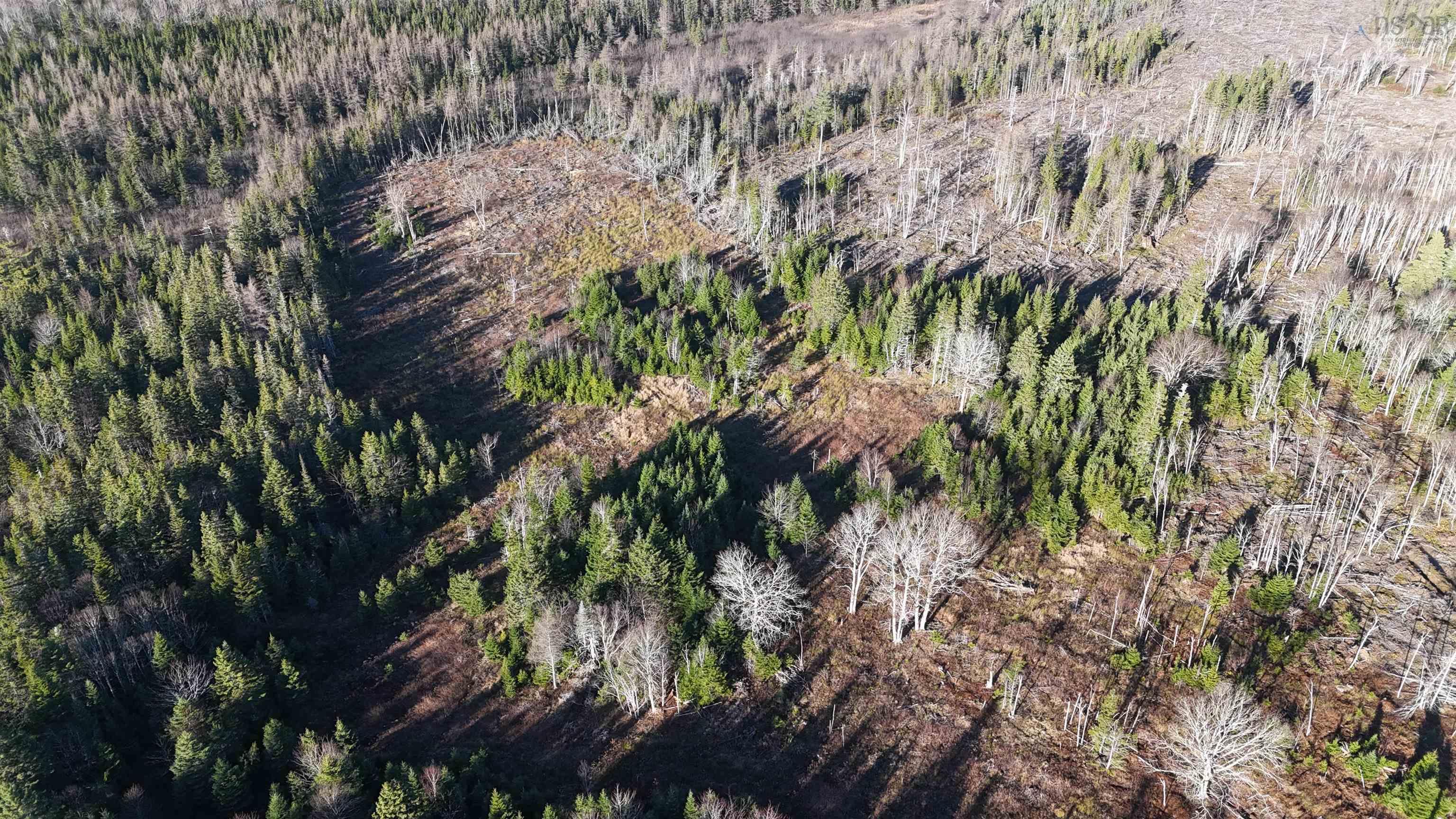 $75,000.00: Salmon River Road, Enon