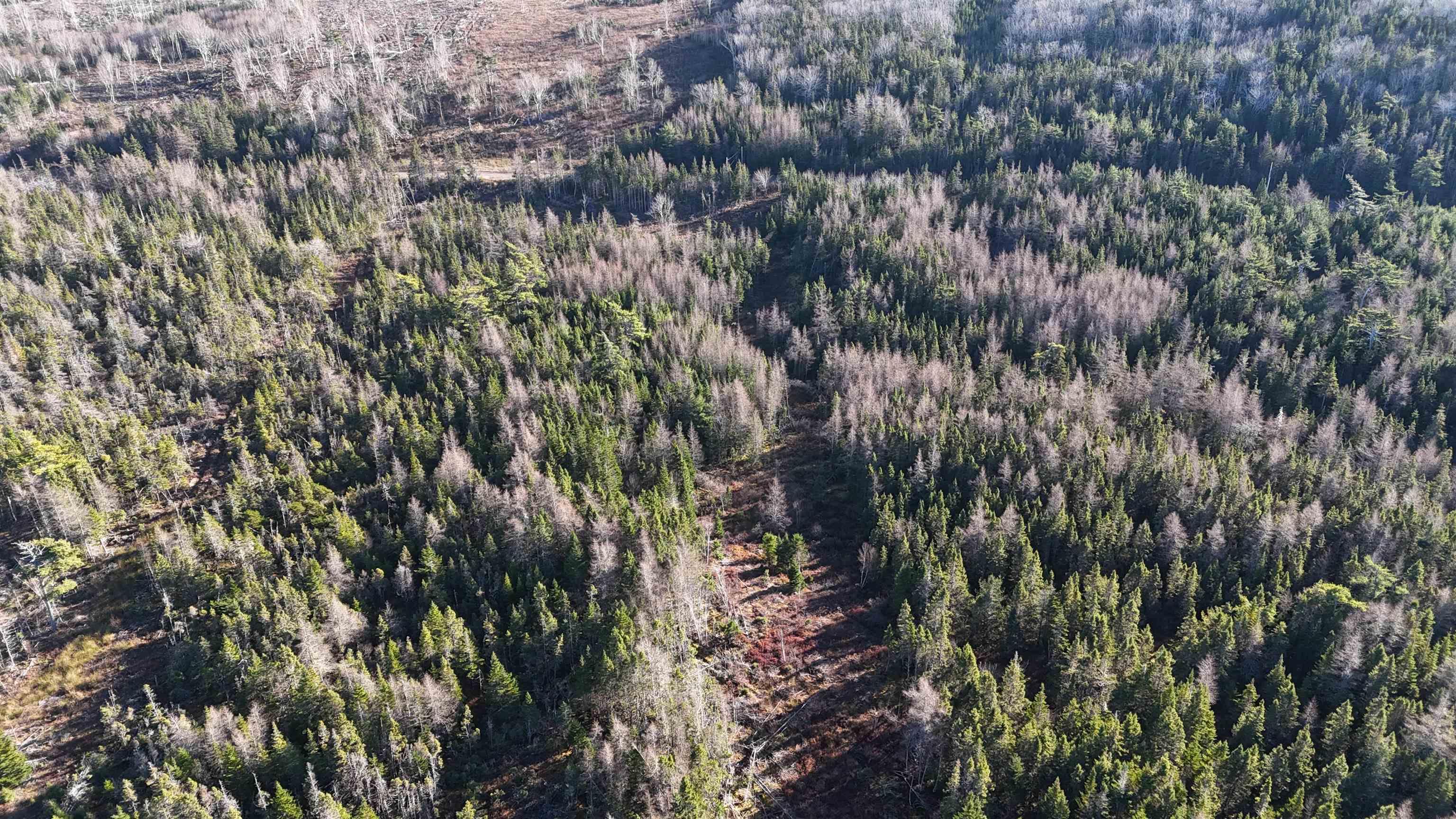 $75,000.00: Salmon River Road, Enon