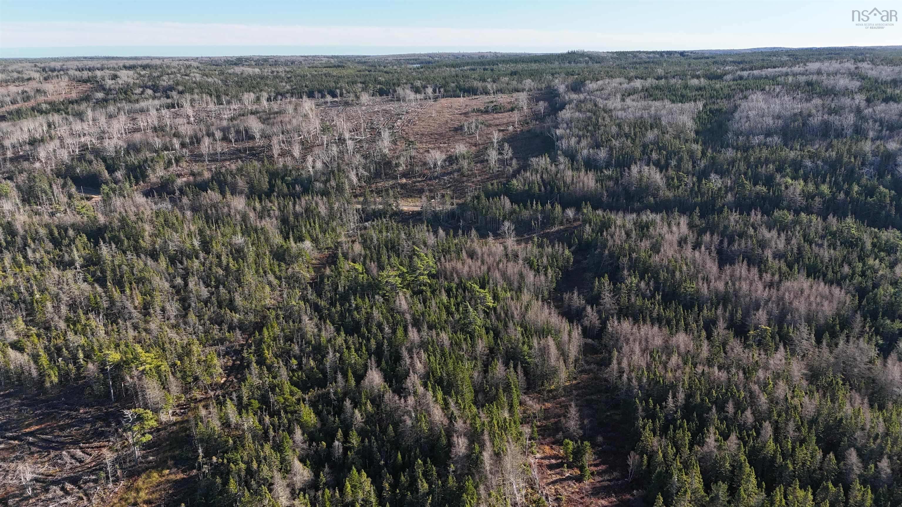 $75,000.00: Salmon River Road, Enon