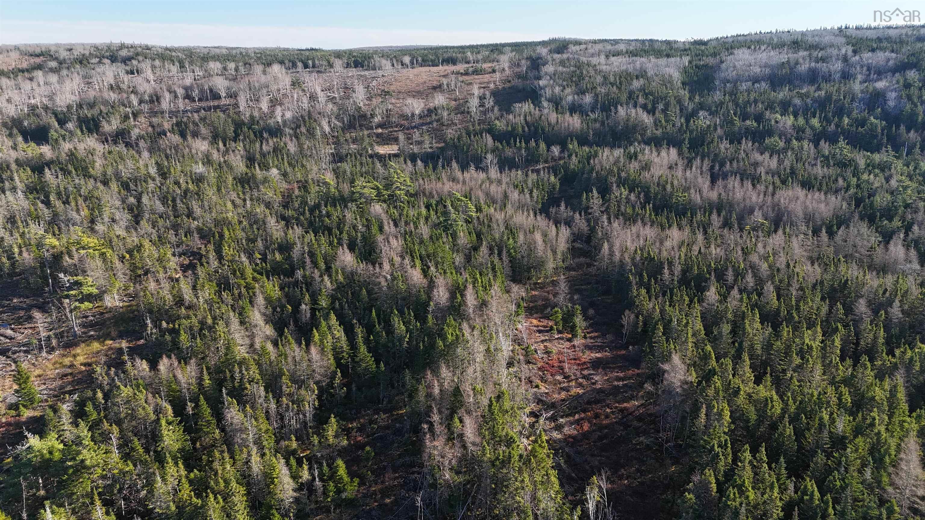 $75,000.00: Salmon River Road, Enon