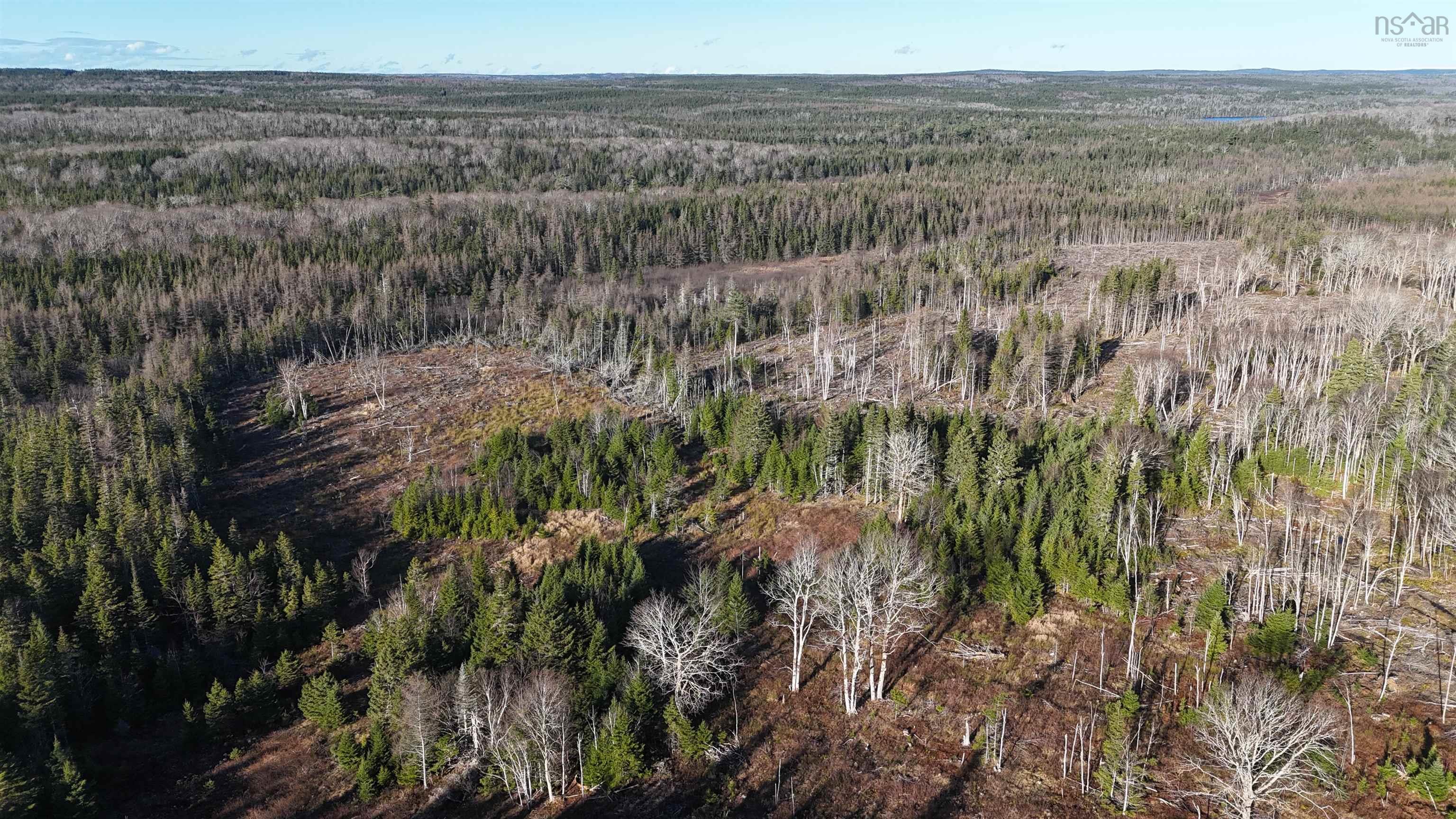 $75,000.00: Salmon River Road, Enon