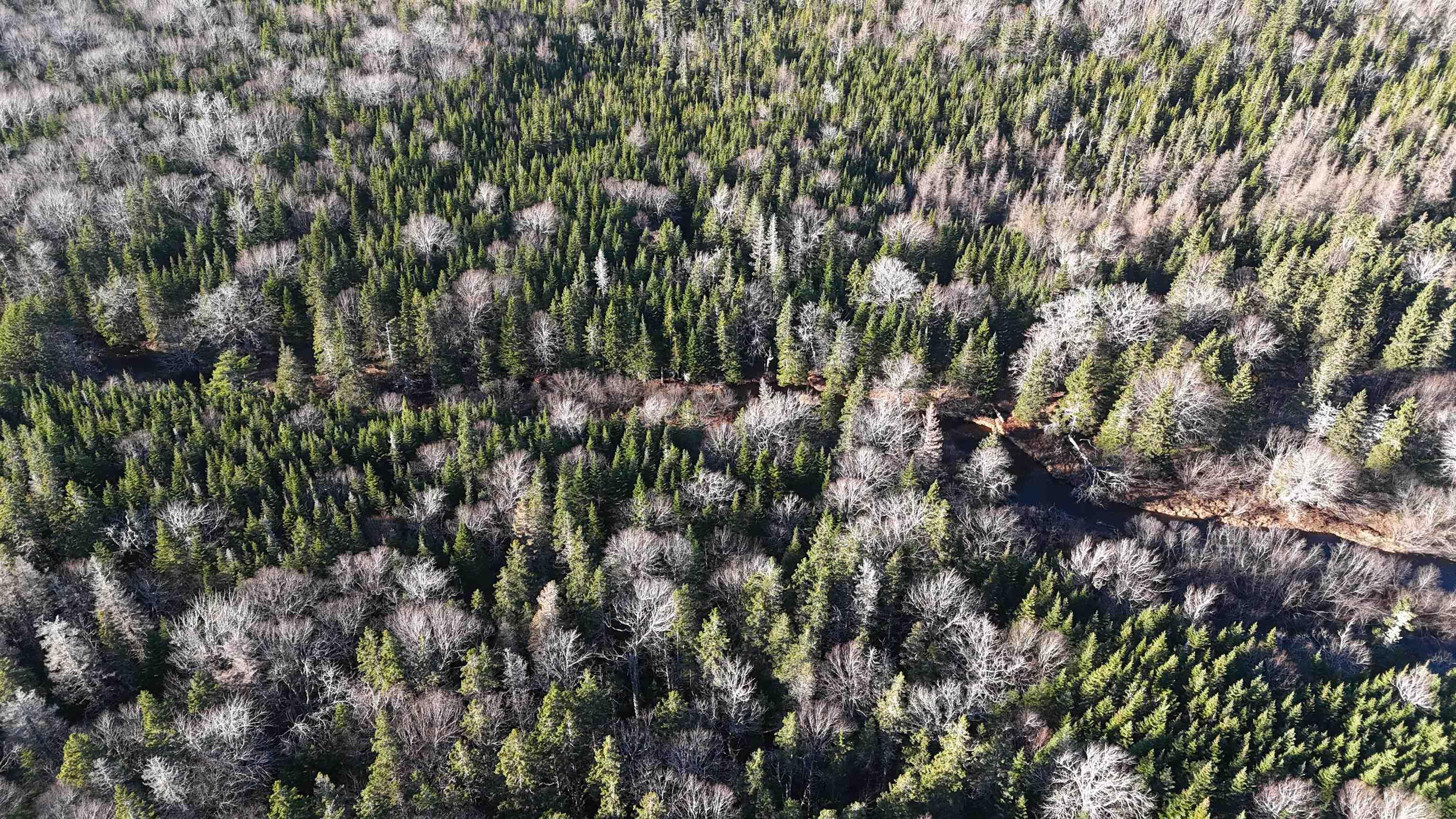 $75,000.00: Salmon River Road, Enon