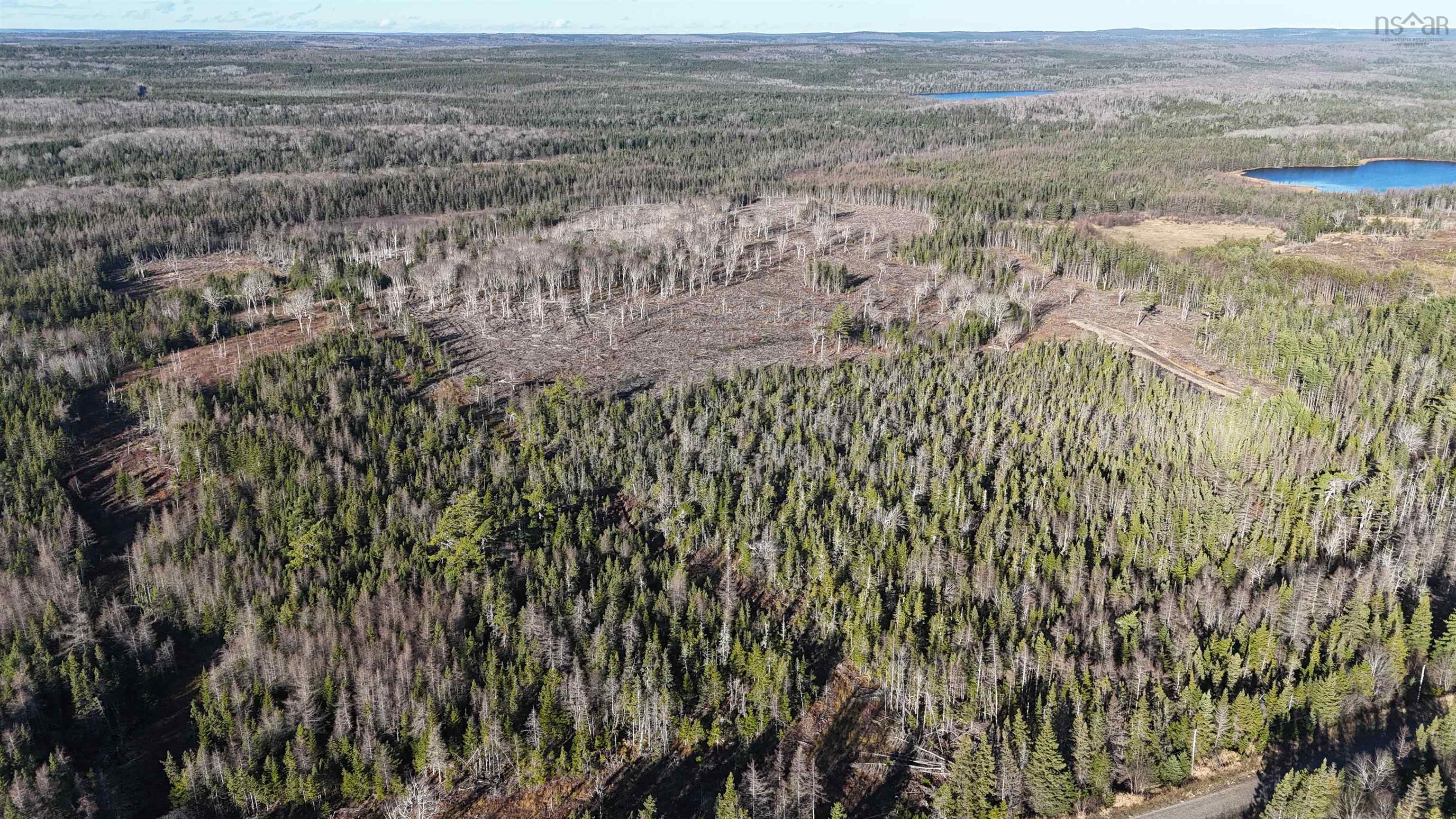 $75,000.00: Salmon River Road, Enon