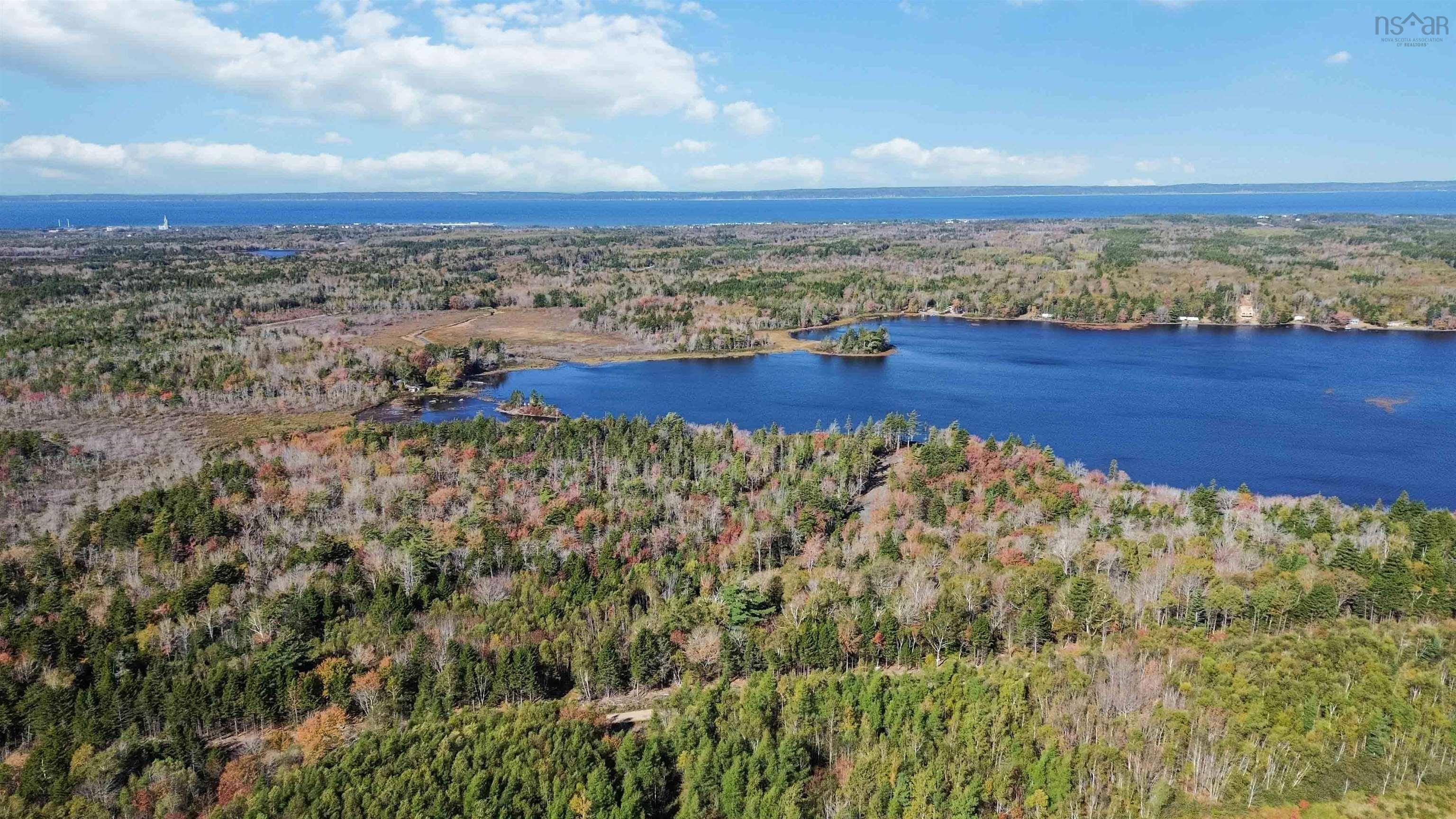 $59,900.00: Highway 101, Grosses Coques