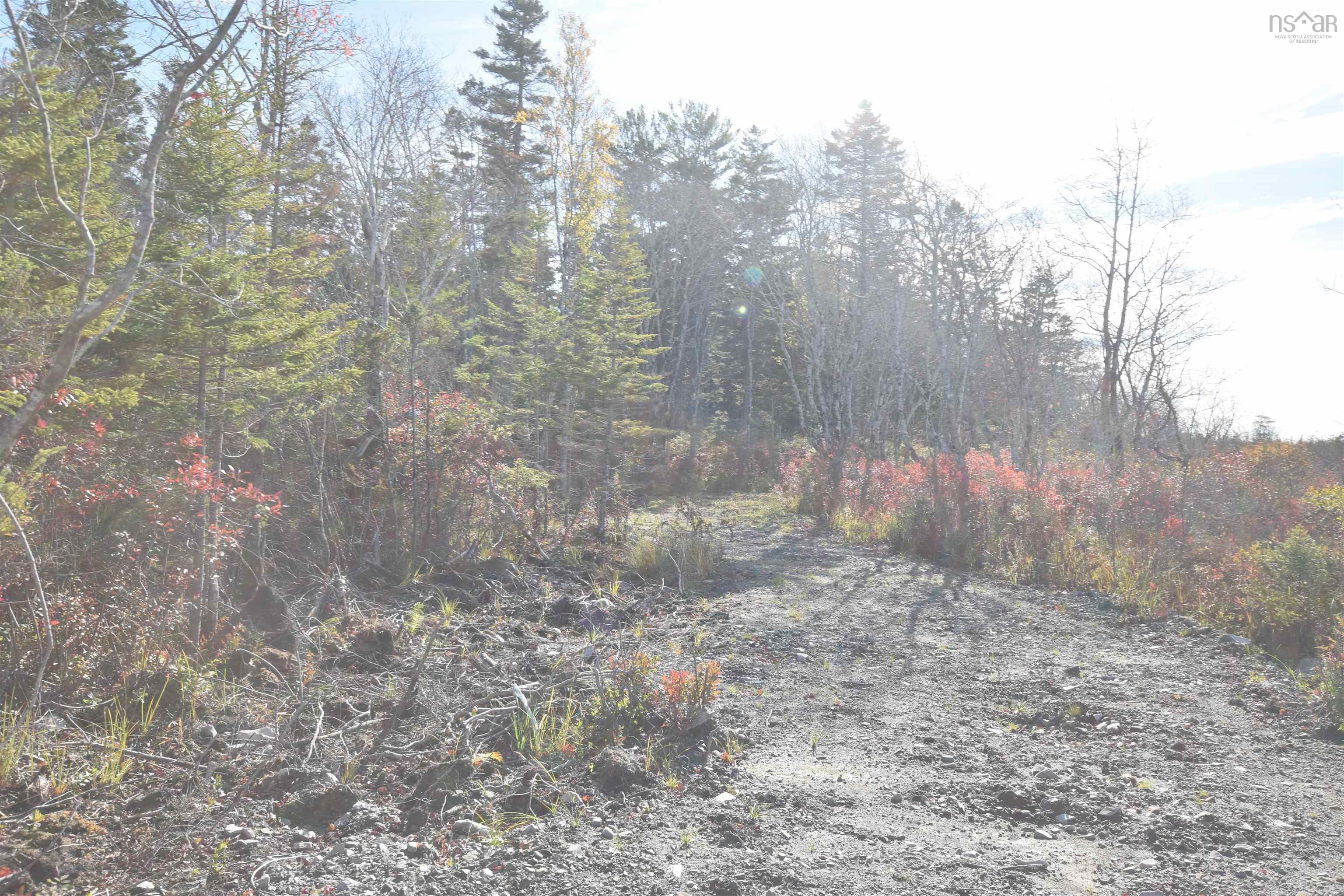 $59,900.00: Highway 101, Grosses Coques