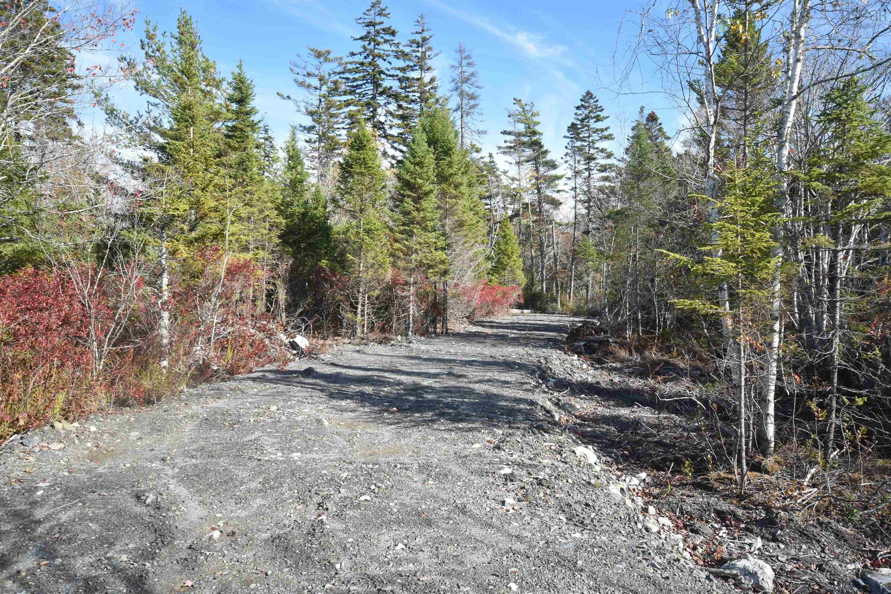 $59,900.00: Highway 101, Grosses Coques