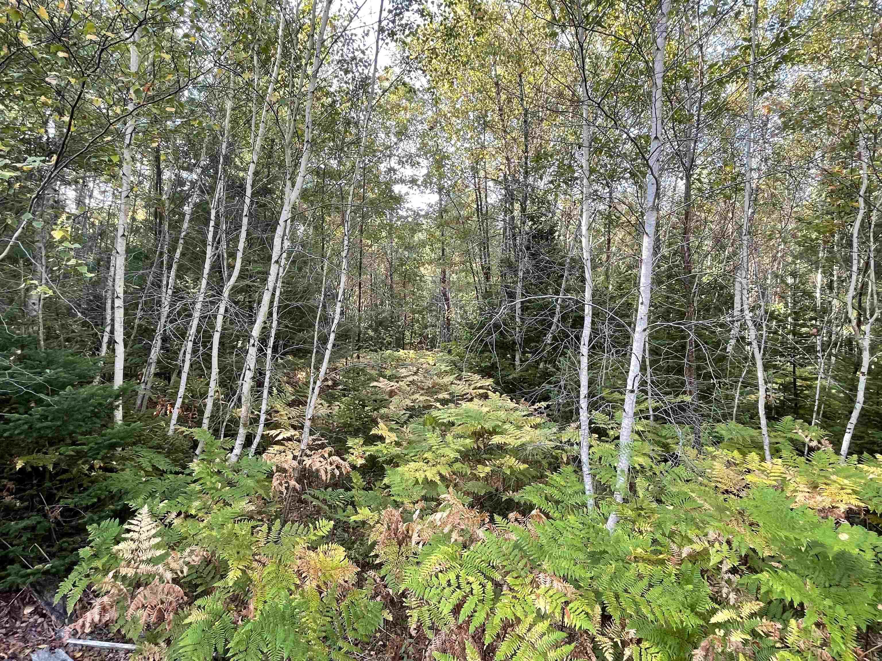 $130,000.00: 69 Mackay Road, Union Square