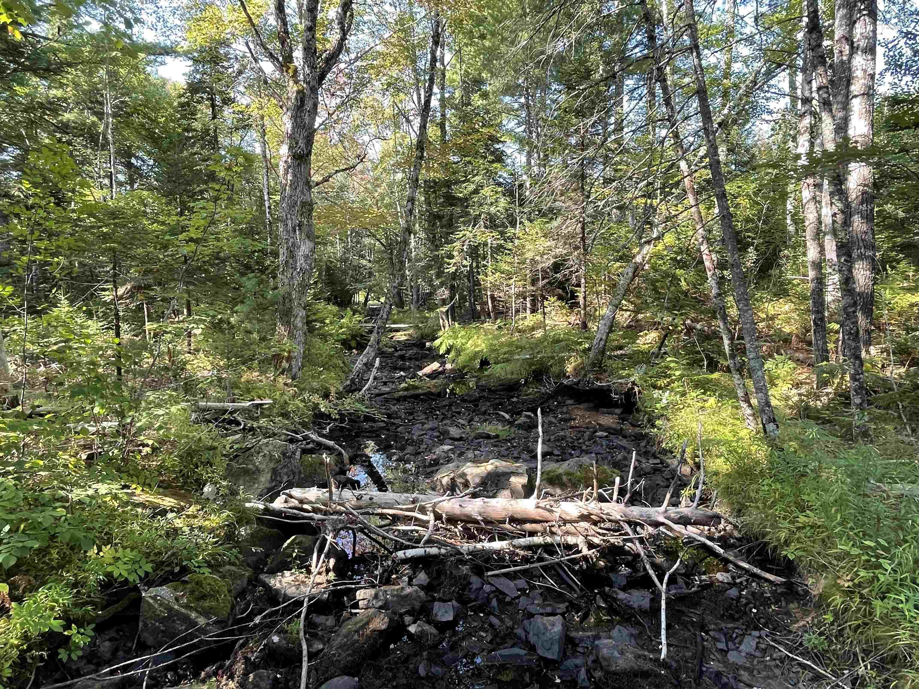 $130,000.00: 69 Mackay Road, Union Square