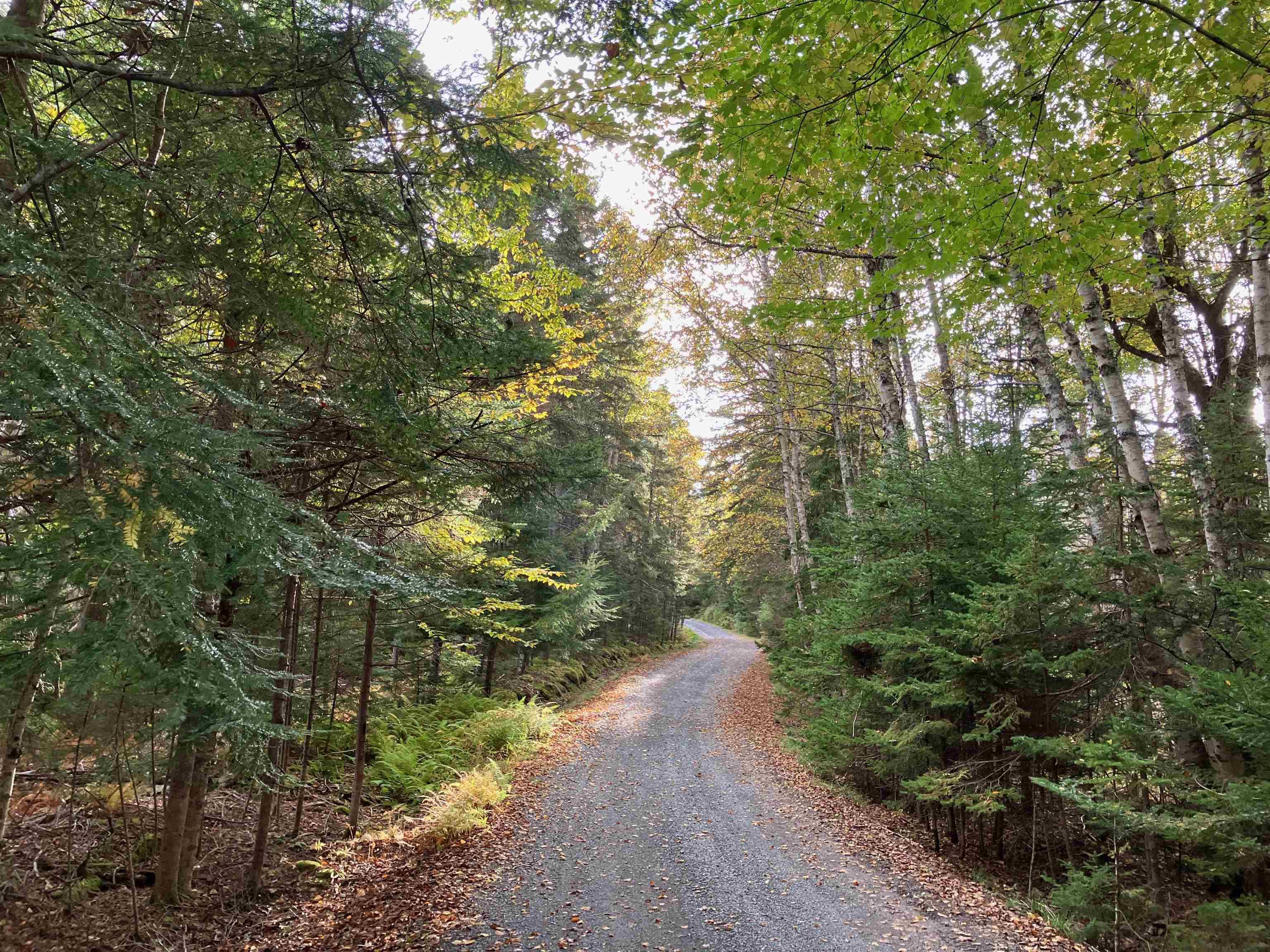 $630,000.00: 903 FELTZEN SOUTH Road, Feltzen South