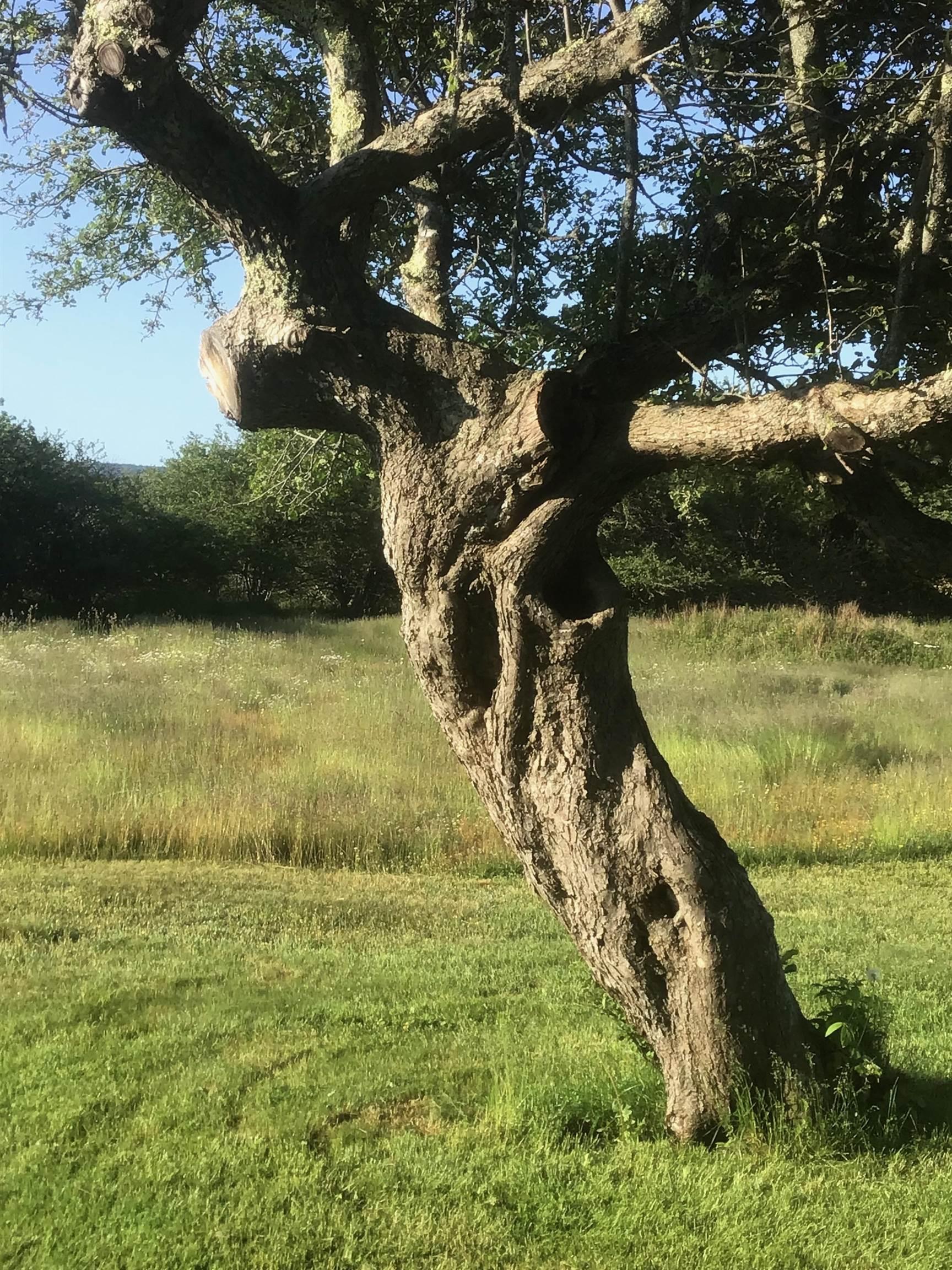 $630,000.00: 903 FELTZEN SOUTH Road, Feltzen South