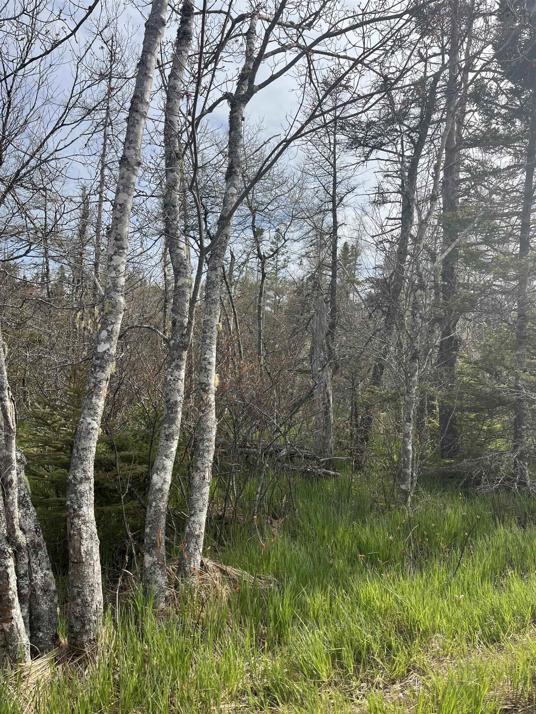 Lot 3 Old Minesville Road, Middle Porters Lake, NS (MLS 202524148)