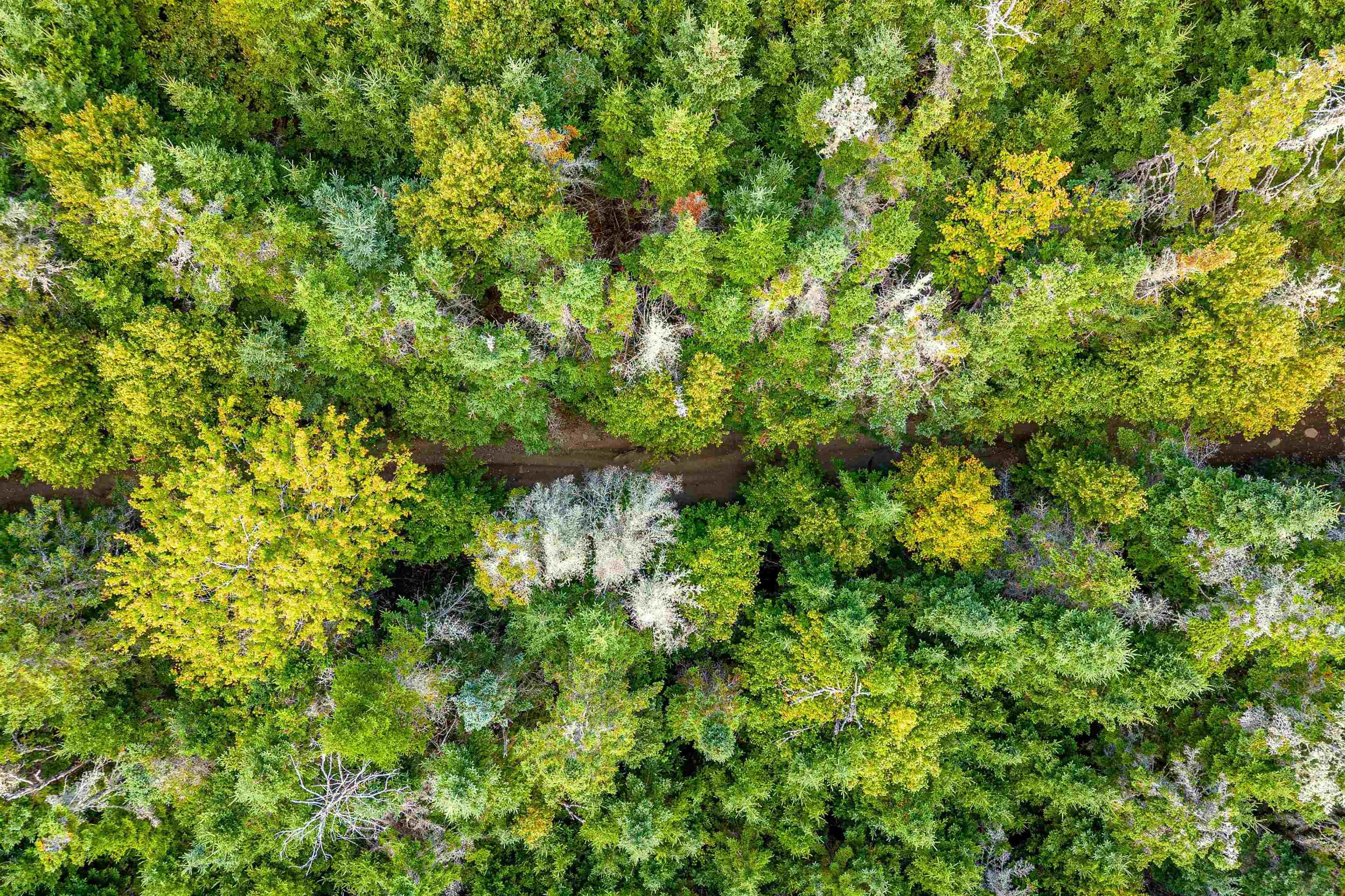 Lot 3 Old Minesville Road, Middle Porters Lake, NS (MLS 202524148)