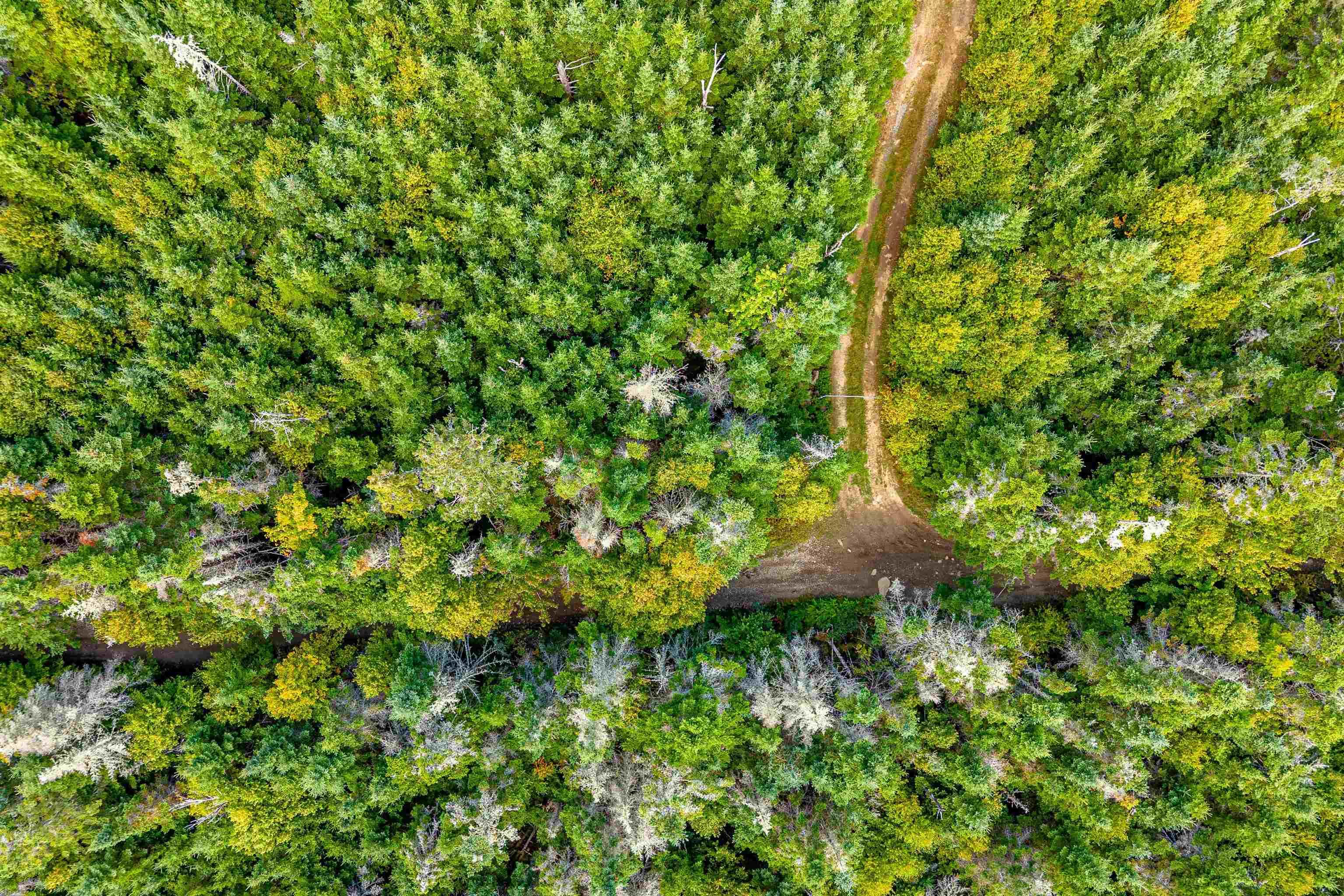 Lot 3 Old Minesville Road, Middle Porters Lake, NS (MLS 202524148)