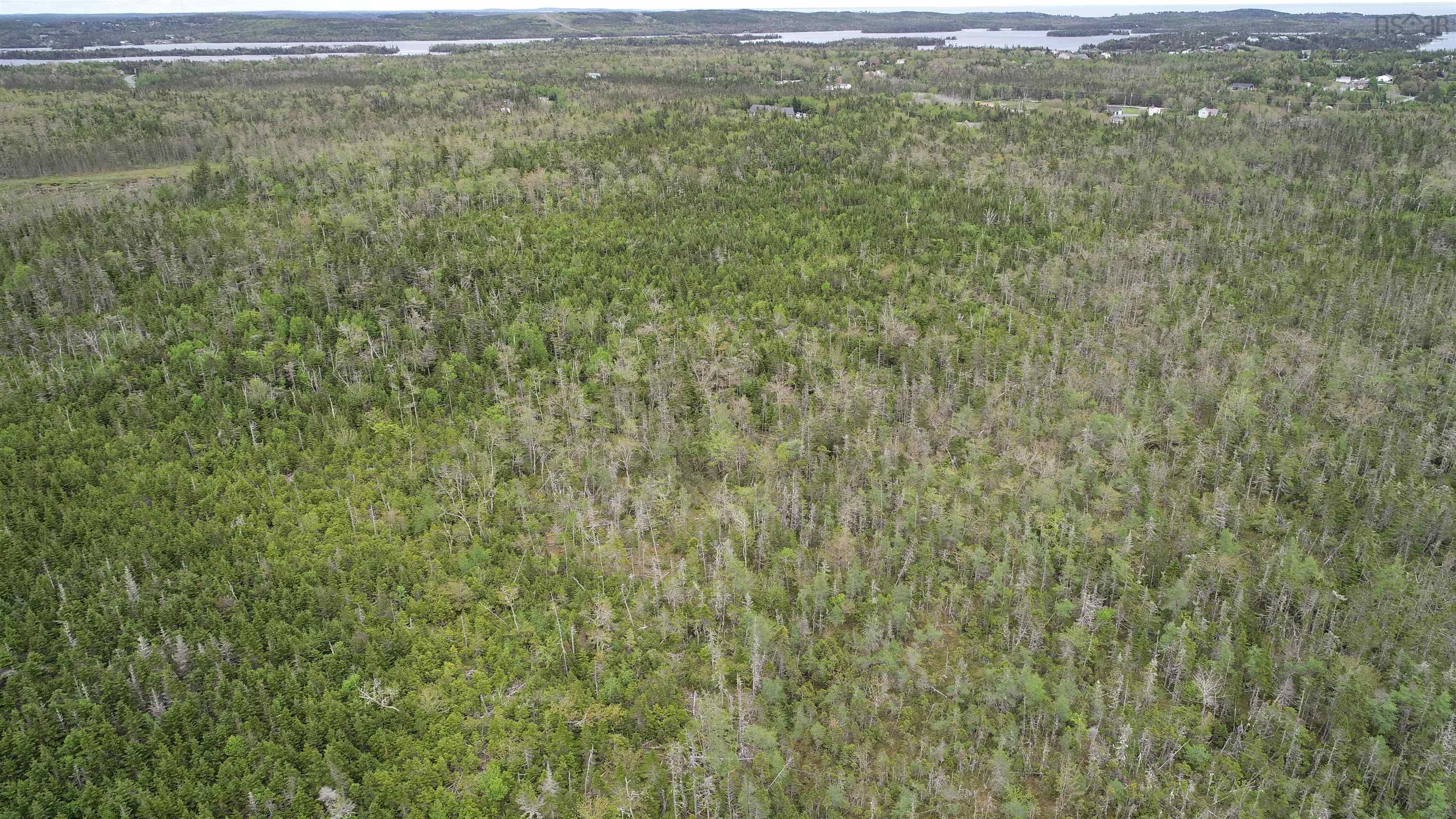 Lot 3 Smelt Brook, Middle Porters Lake, NS (MLS 202524151)