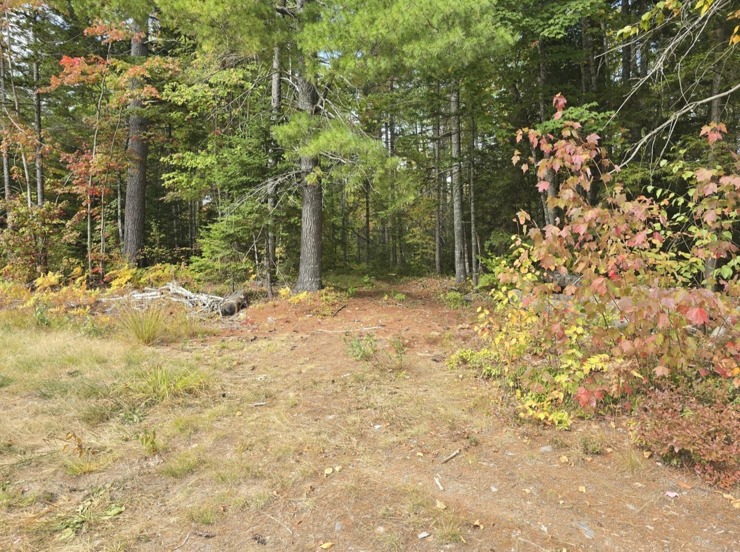 Lot Green Road, Keddys Corner, NS (MLS® 202524164) | Keddys Corner Real Estate | RE/MAX Halifax