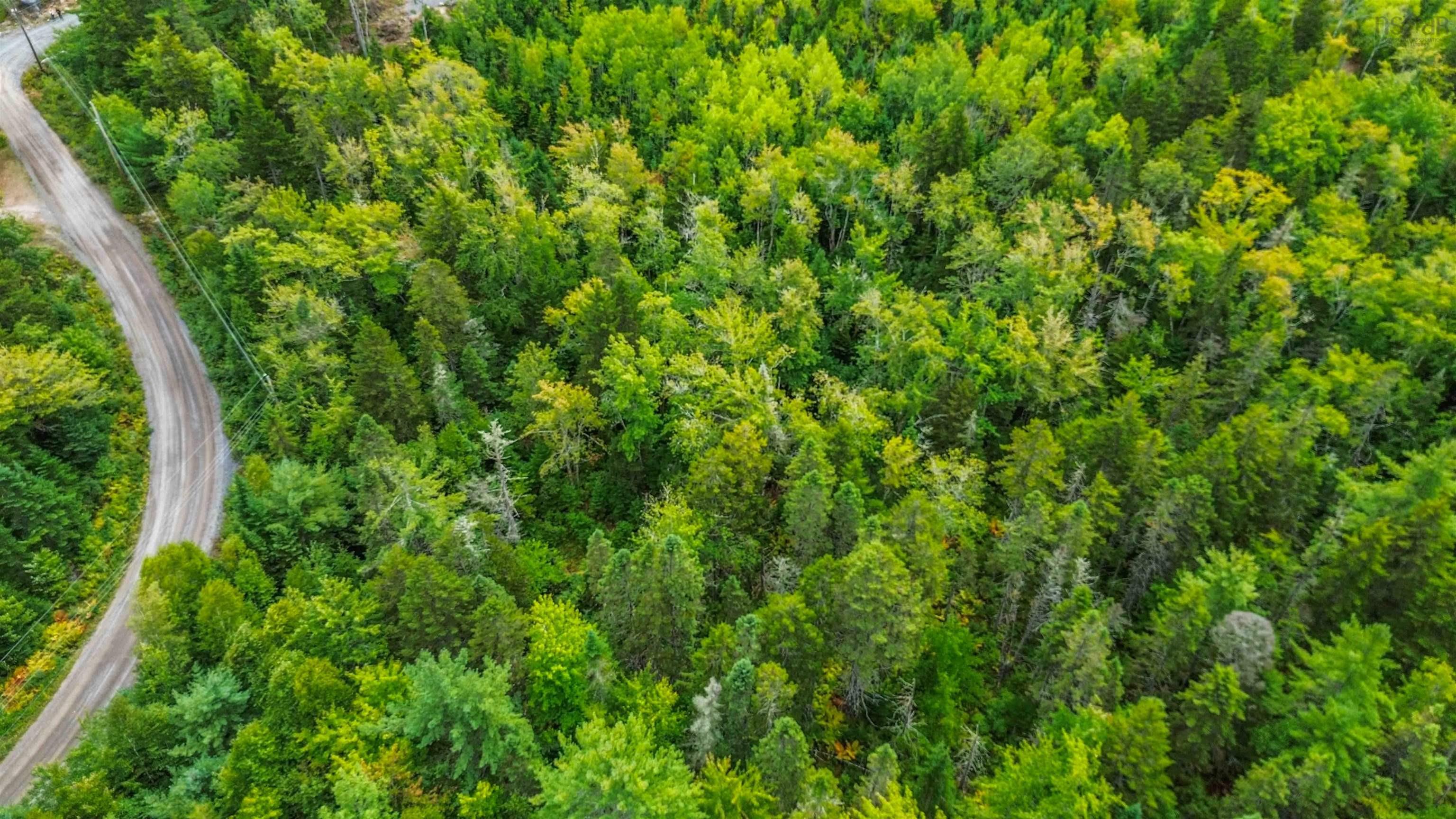 Lot P-5-3 Spruce Drive, Aylesford Lake, NS (MLS® 202524445) | Aylesford Lake Real Estate | RE/MAX Halifax