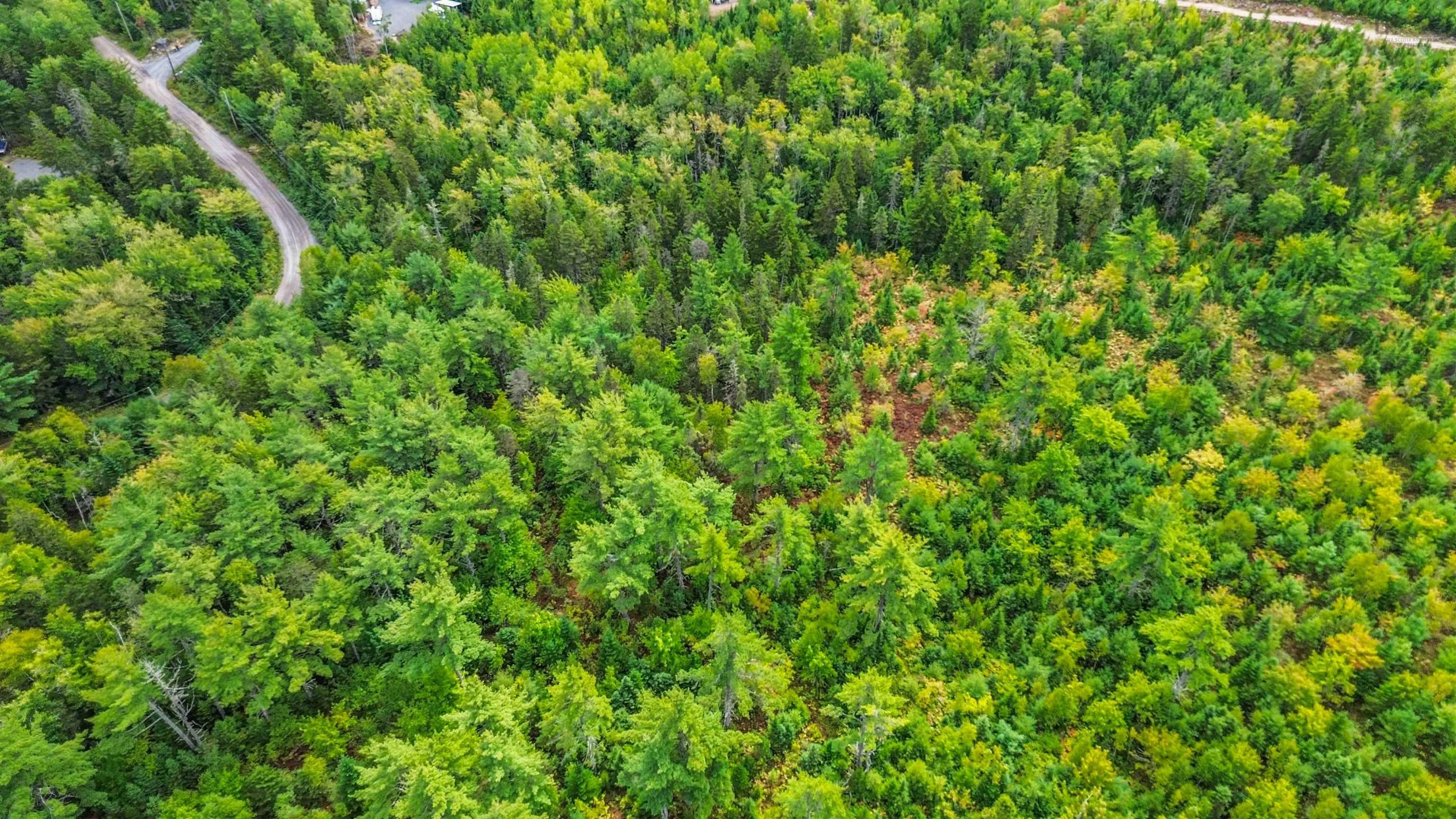 $85,000.00: Lot P-5-3 Spruce Drive, Aylesford Lake