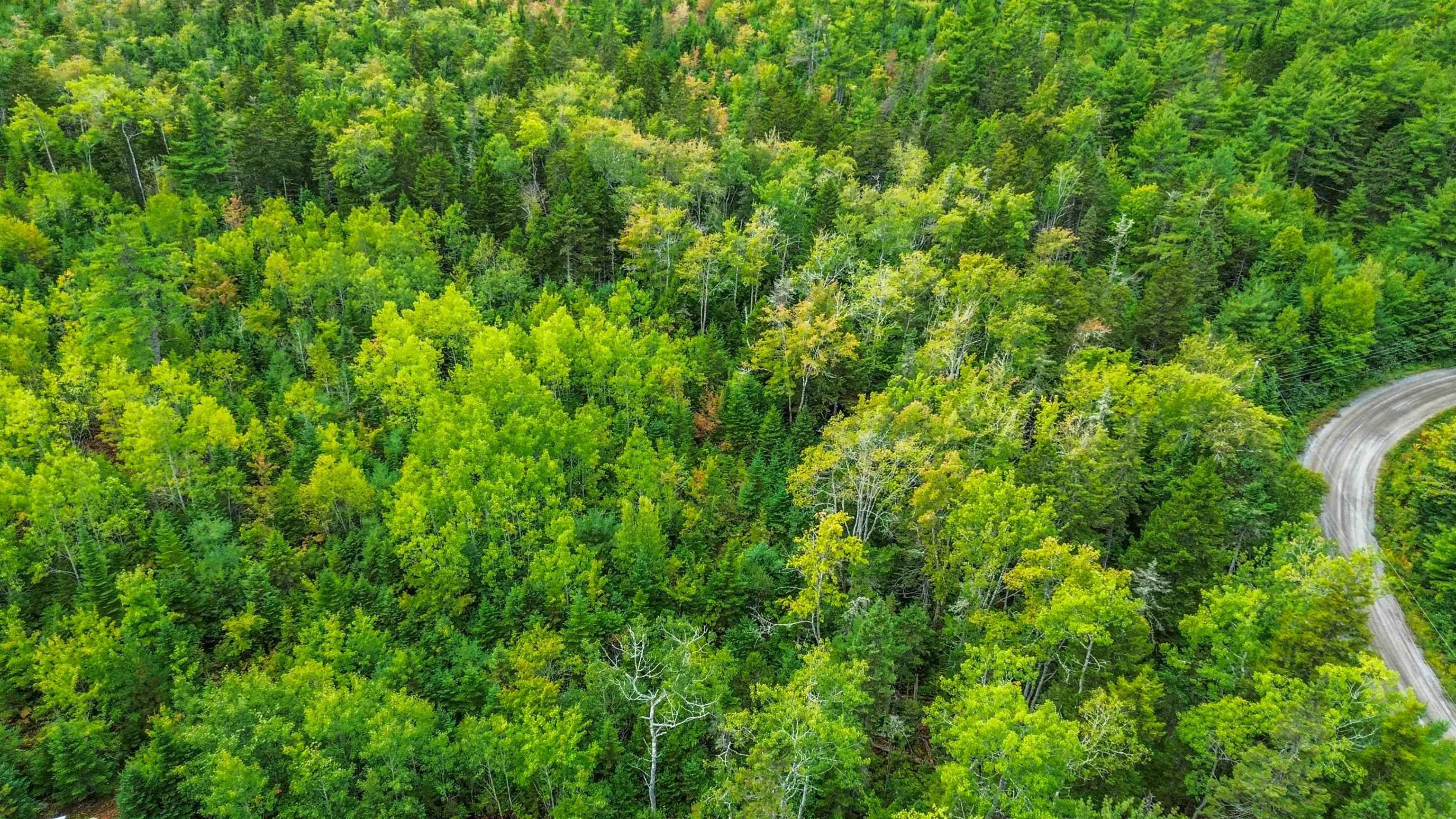 $85,000.00: Lot P-5-3 Spruce Drive, Aylesford Lake