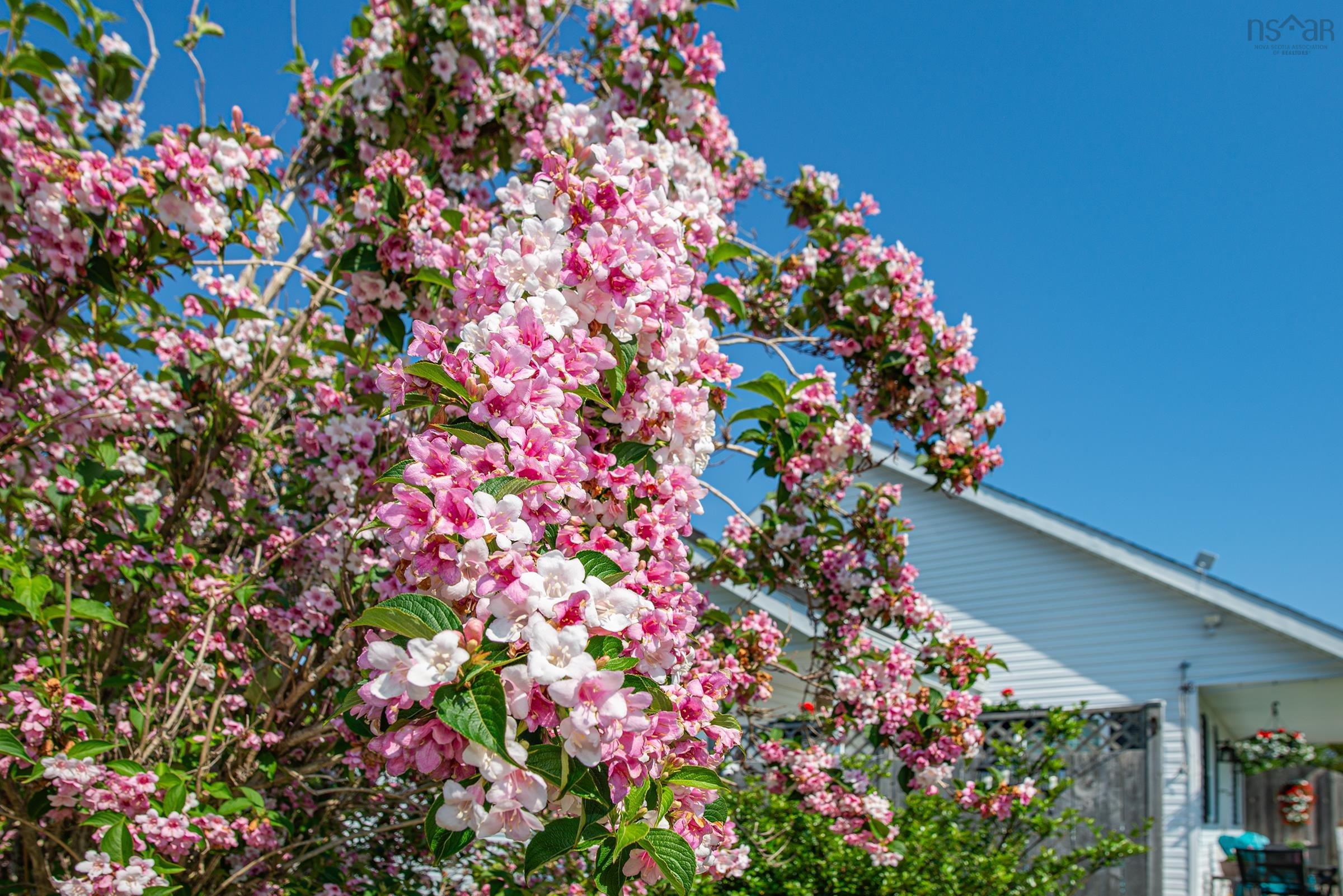 $450,000.00: 6451 Highway 3, Eel Brook