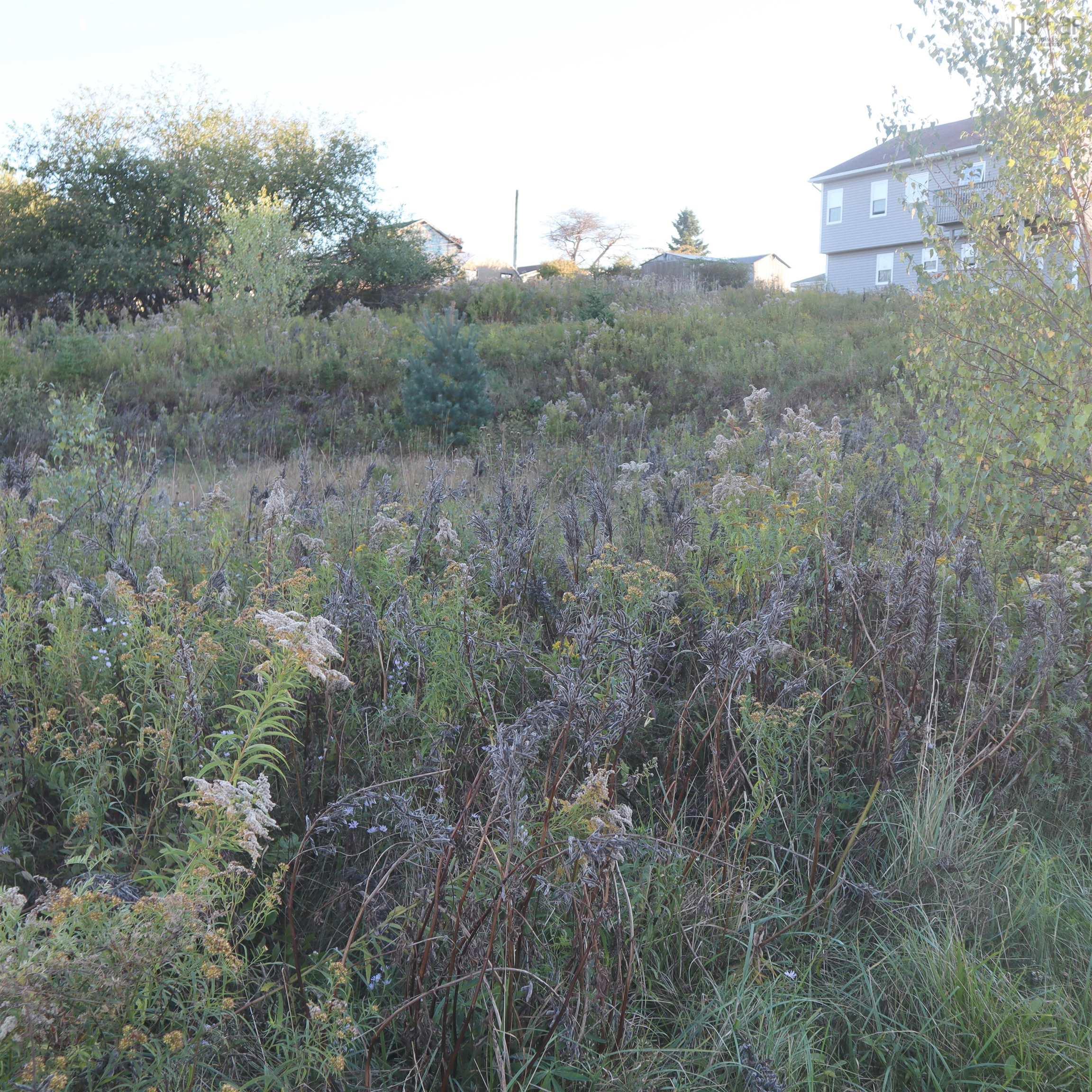 Lot 314 44 Poonam Court, Dartmouth, NS (MLS 202524693)