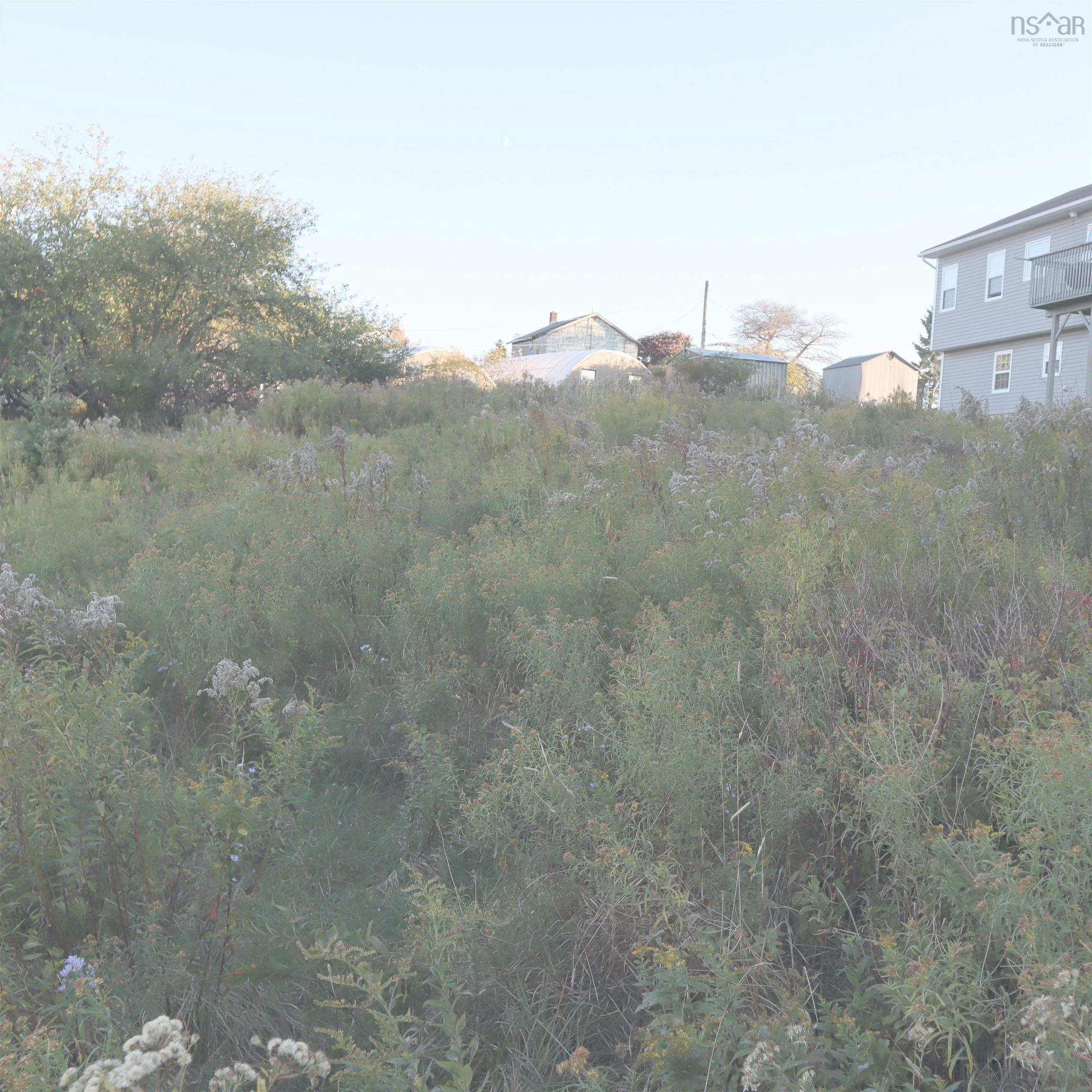 Lot 314 44 Poonam Court, Dartmouth, NS (MLS 202524693)