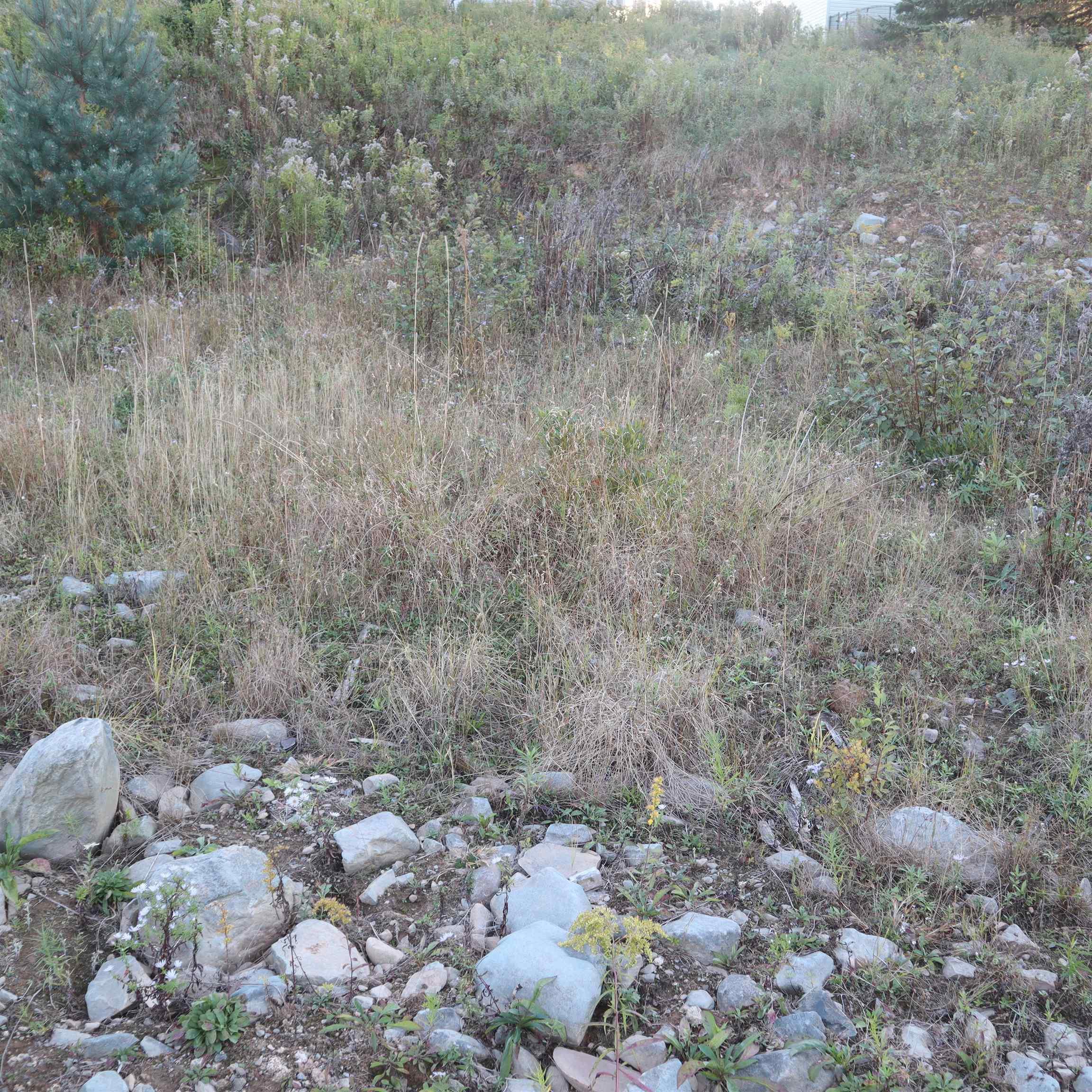 Lot 314 44 Poonam Court, Dartmouth, NS (MLS 202524693)