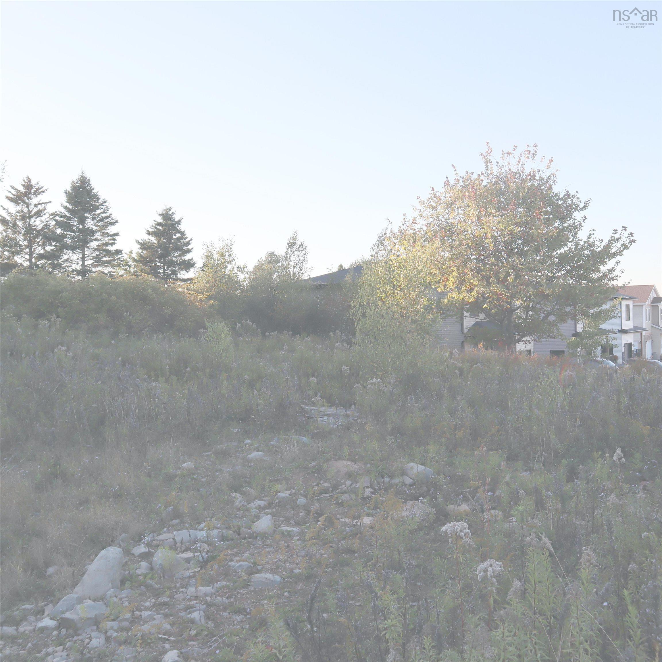 Lot 314 44 Poonam Court, Dartmouth, NS (MLS 202524693)