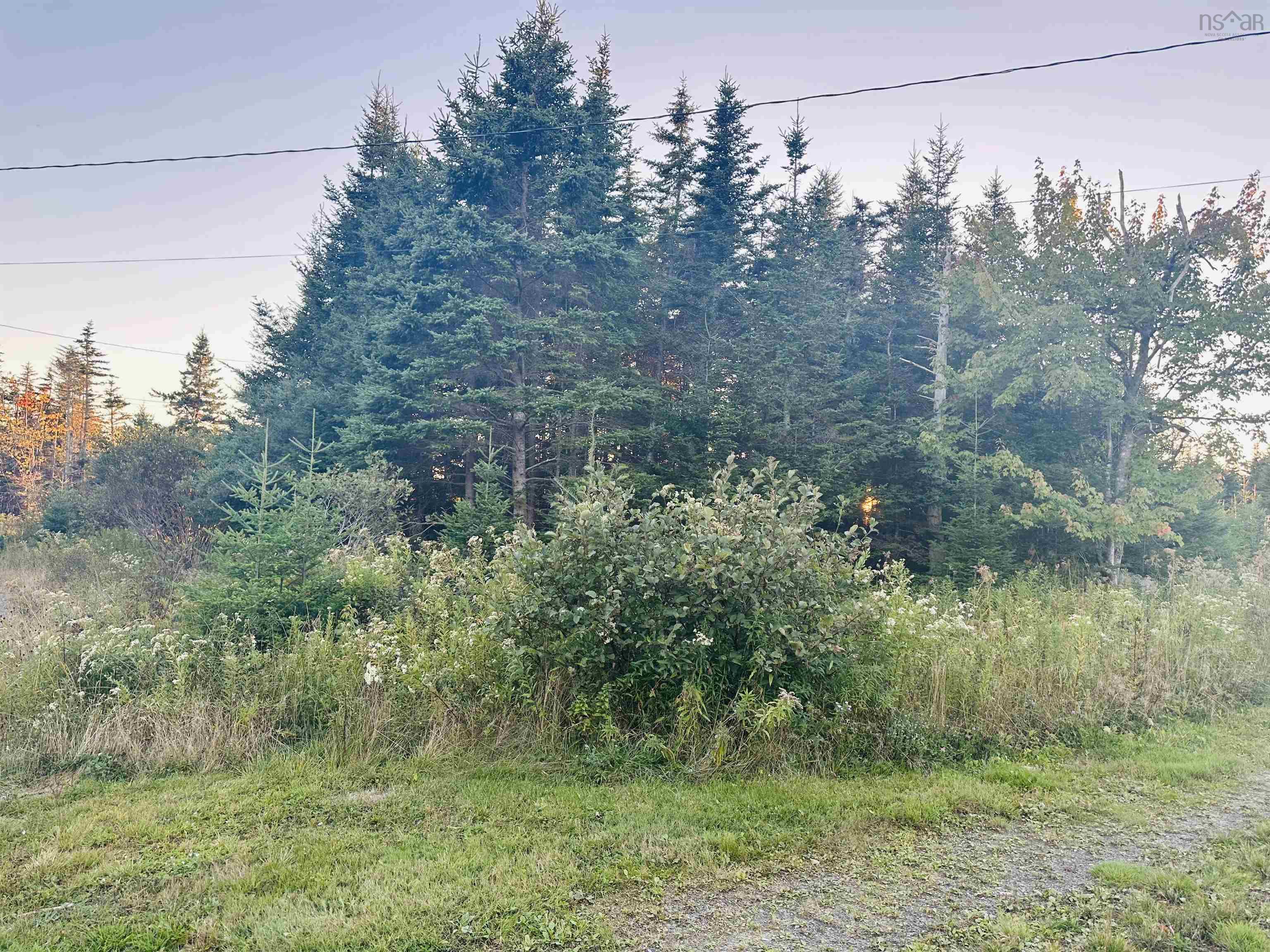 28 Flat Point Road, Clam Harbour, NS (MLS 202524733)