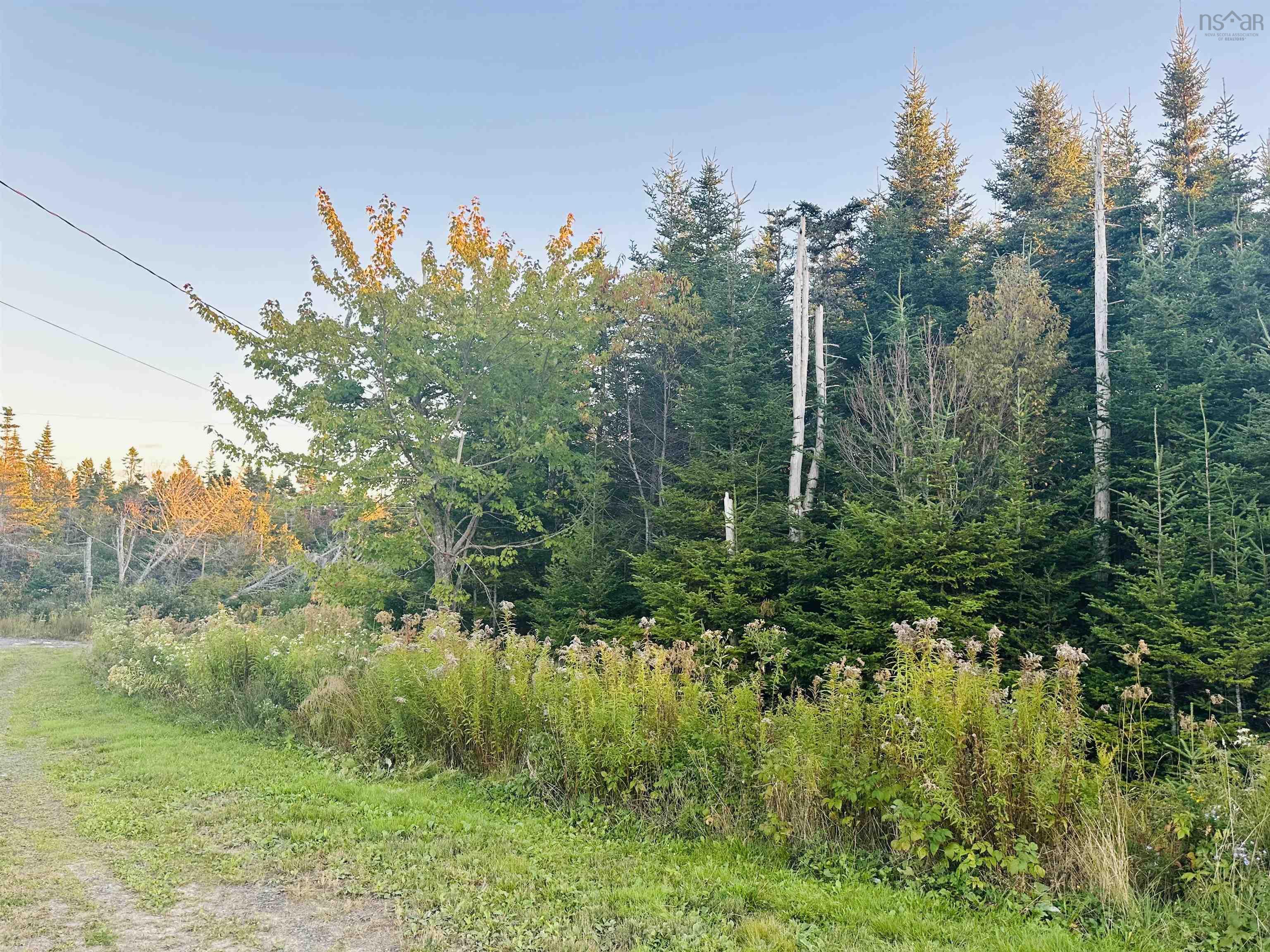 28 Flat Point Road, Clam Harbour, NS (MLS 202524733)