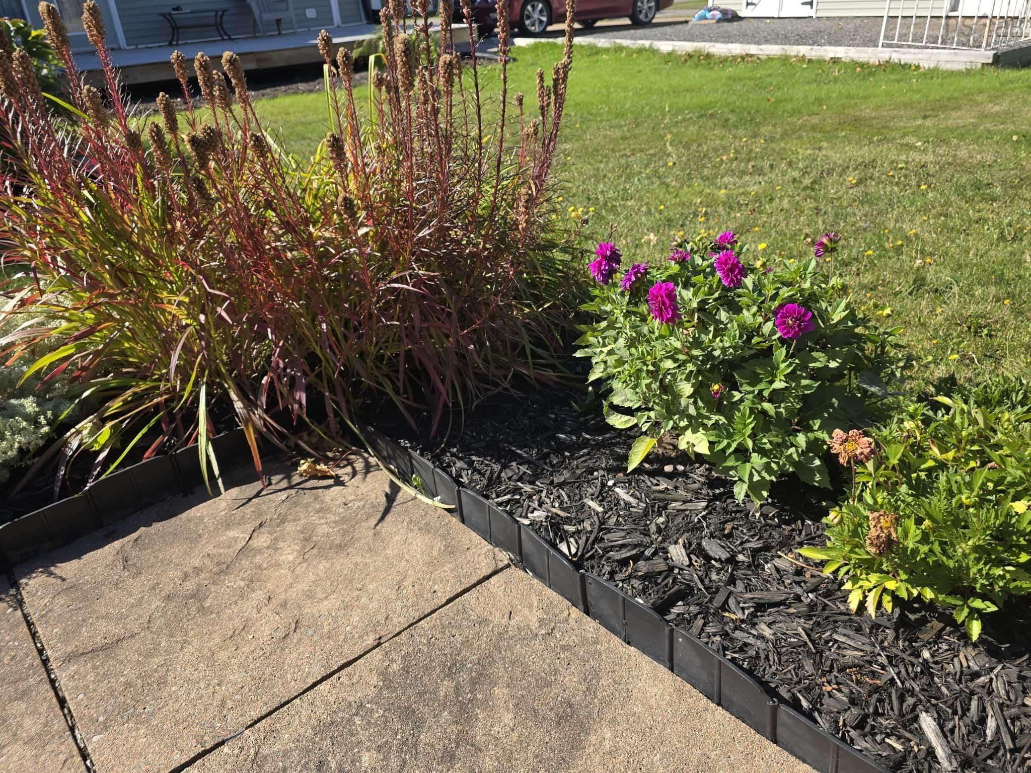 $374,900.00: 212 Patterson Street, Pictou