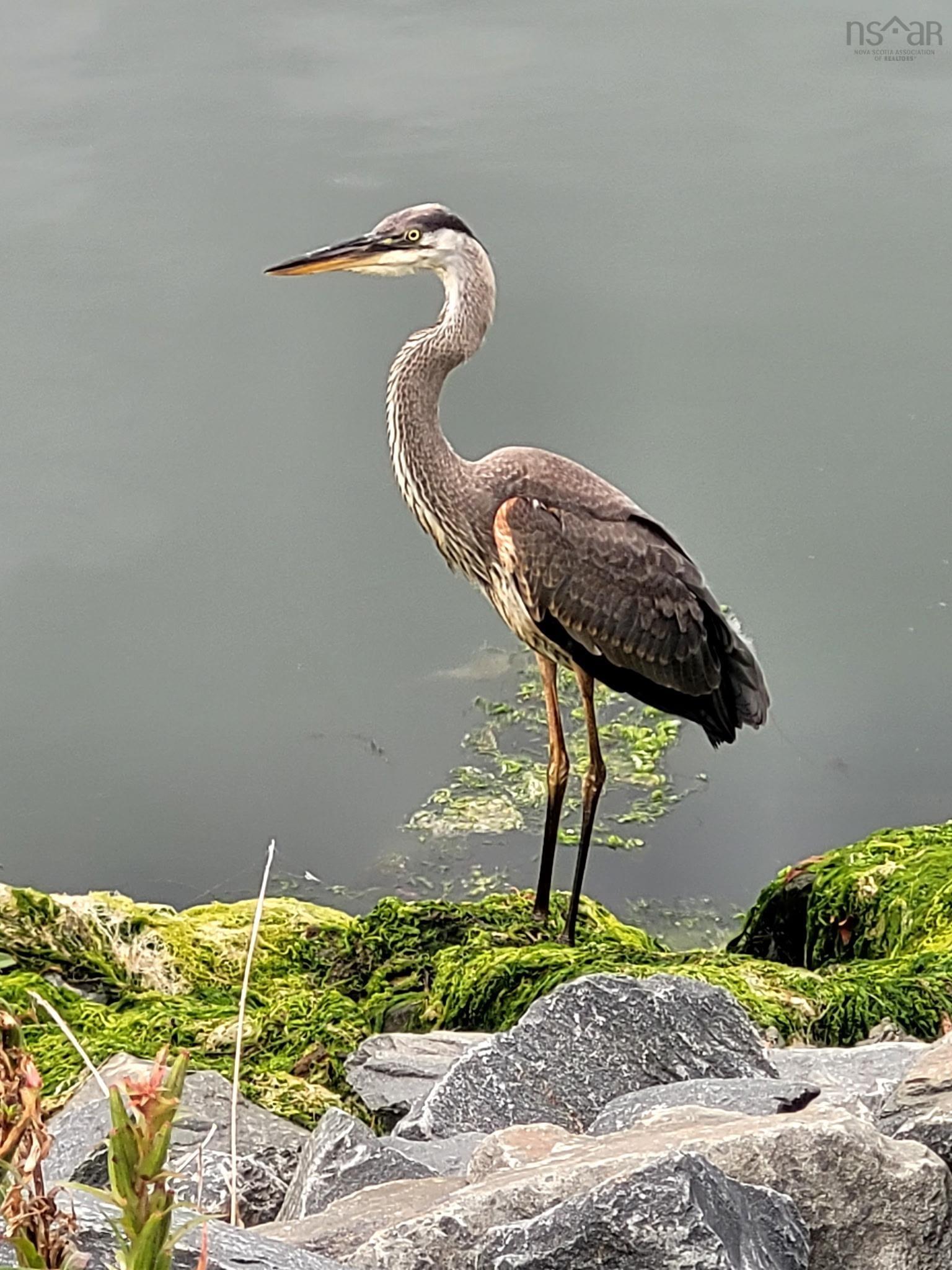 305 220 Waterfront Drive, Bedford, NS (MLS 202525119)