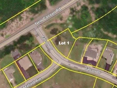 Lot 1 Falcon Drive, Canaan, NS (MLS® 202525302) | Canaan Real Estate | RE/MAX Halifax
