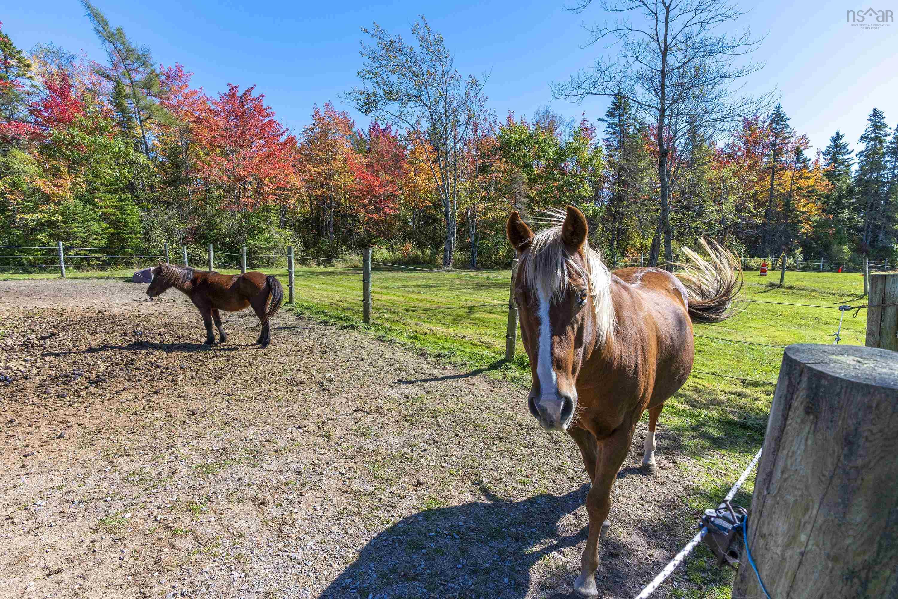 $949,900.00: 34 Horne Settlement Road, Enfield