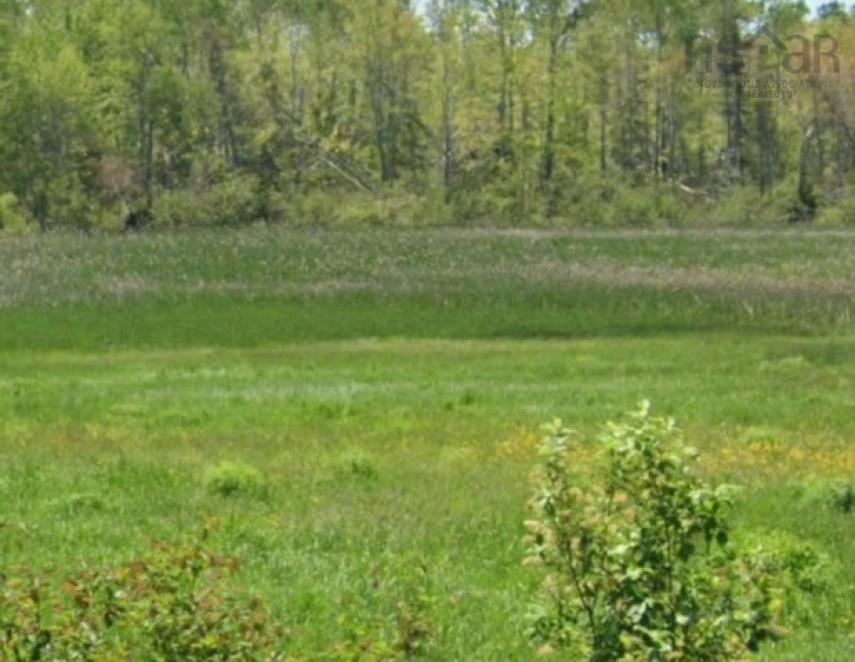 Vl North Wallace Road, North Wallace, NS (MLS® 202525470)