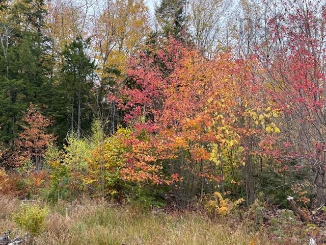 $324,999.00: 1507 Beech Hill Road, Beech Hill