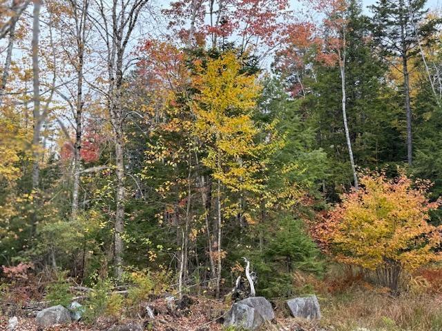 $324,999.00: 1507 Beech Hill Road, Beech Hill