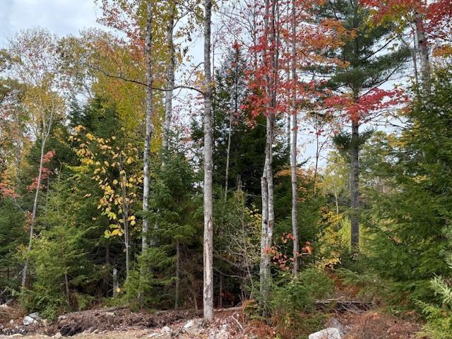 $324,999.00: 1507 Beech Hill Road, Beech Hill