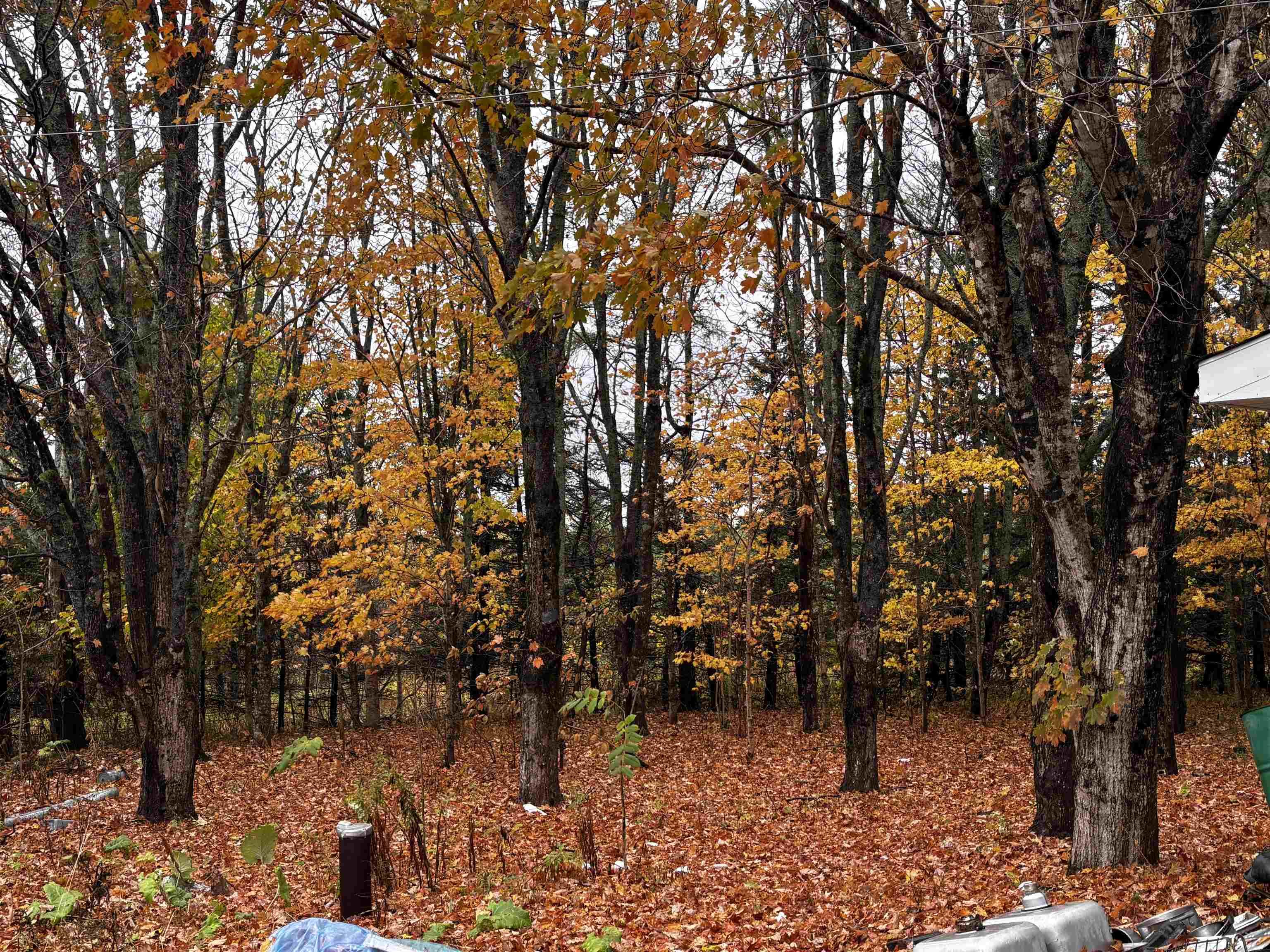 $159,000.00: 149 Long Beach Road, West Glenmont