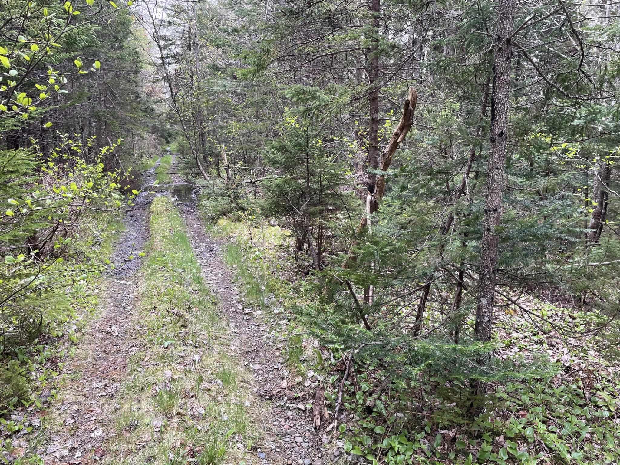 $449,000.00: 366 Lakeshore Drive, Irish Cove