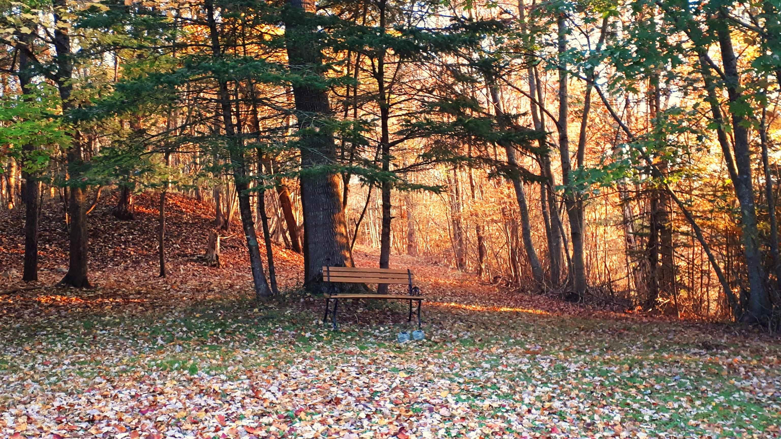 $449,900.00: 33 Kirk Road, Middle Stewiacke