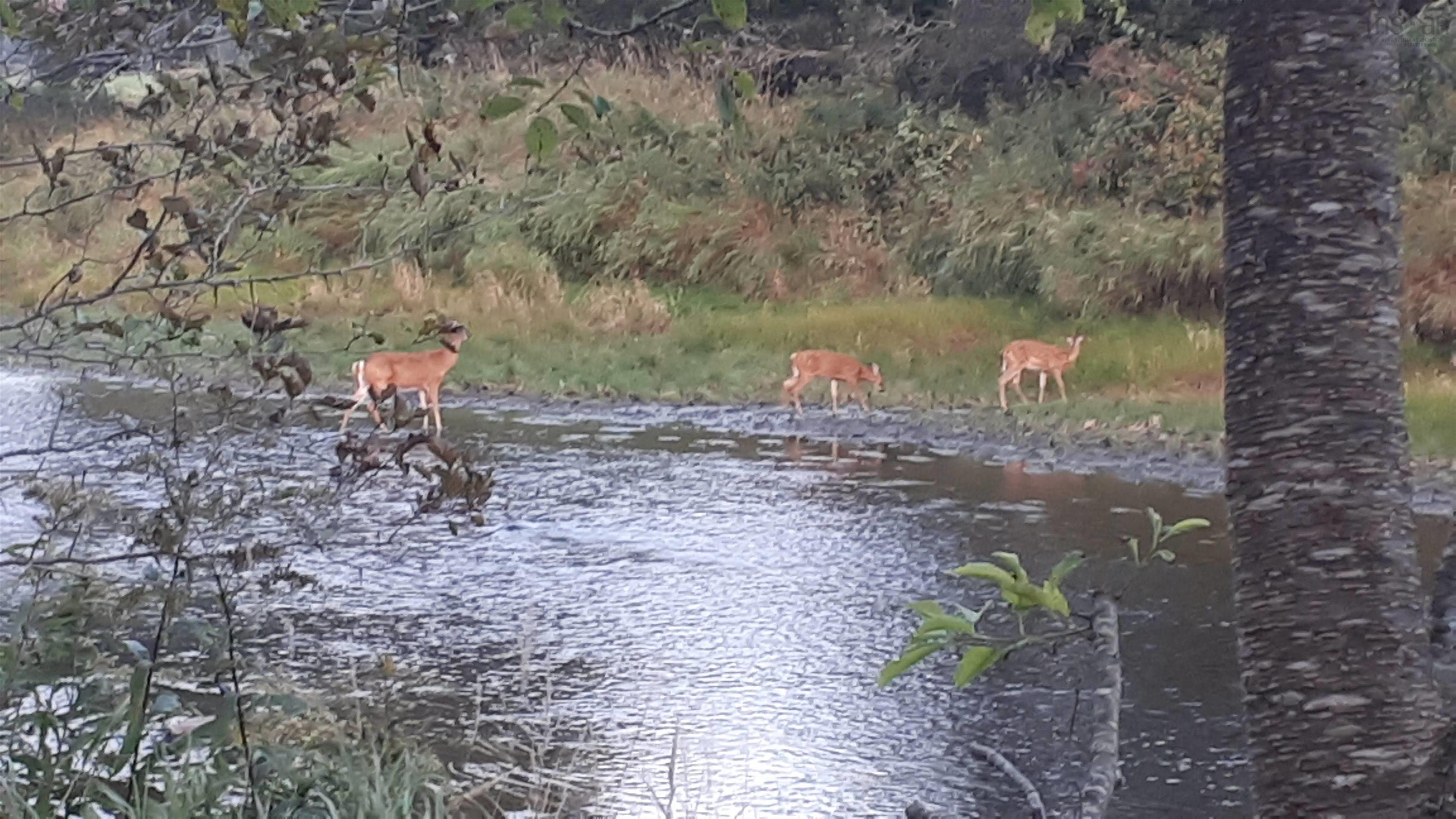 $449,900.00: 33 Kirk Road, Middle Stewiacke