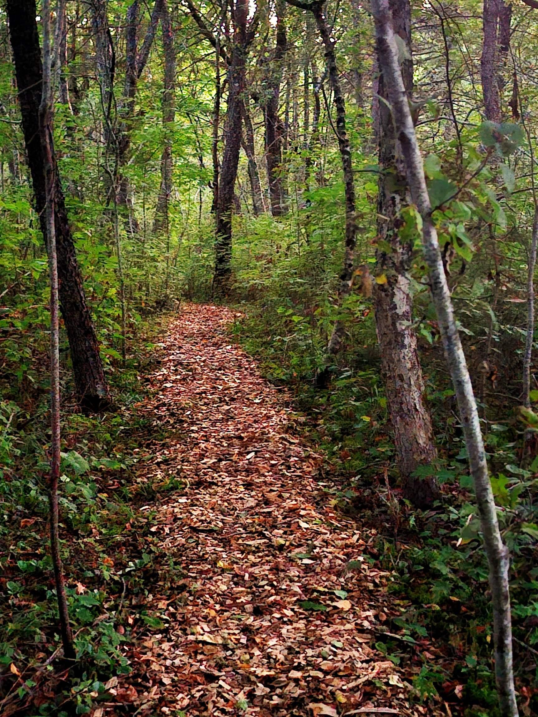 $449,900.00: 33 Kirk Road, Middle Stewiacke