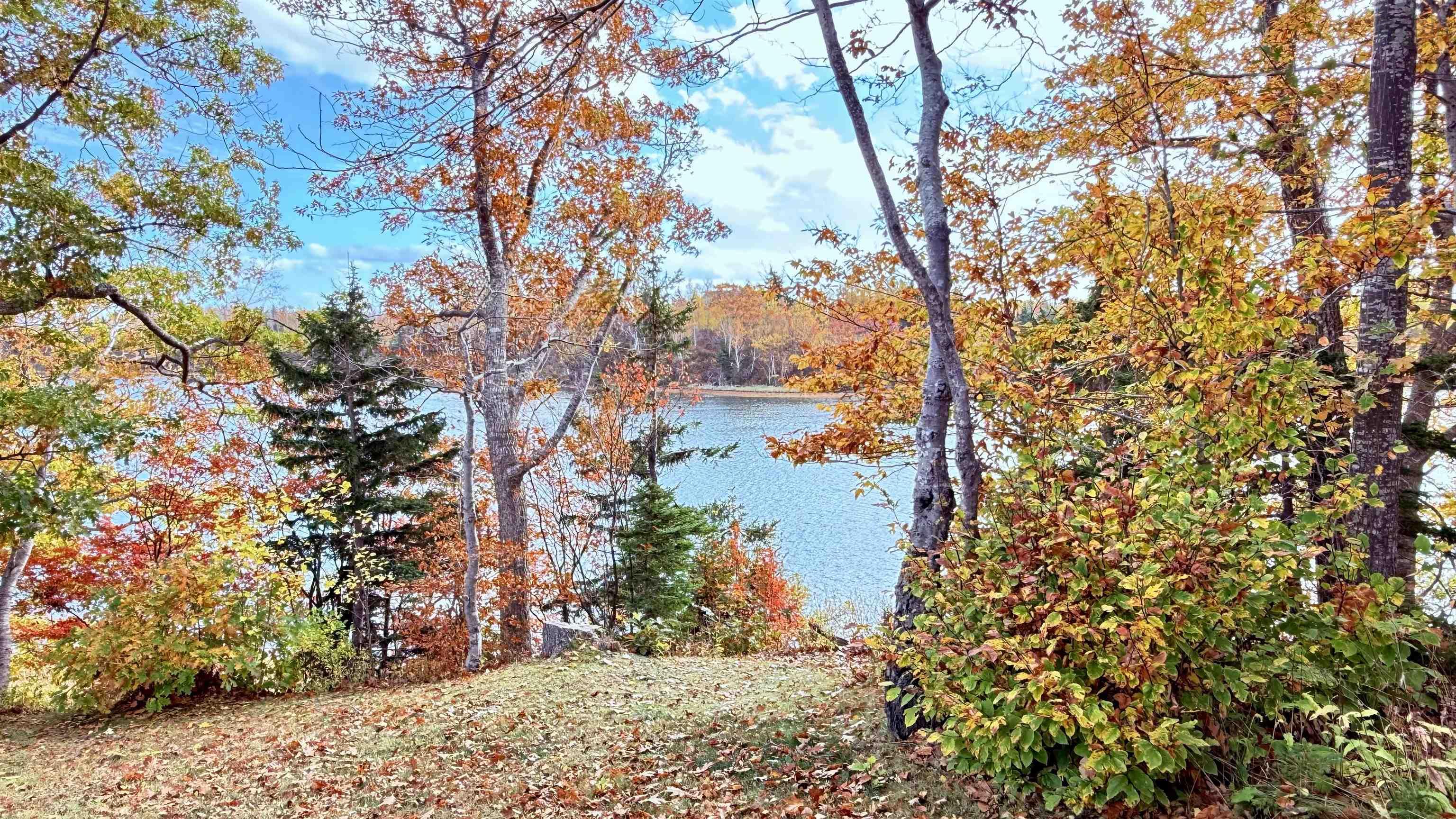 $394,900.00: 42 Arrow Head Crescent, Waterside