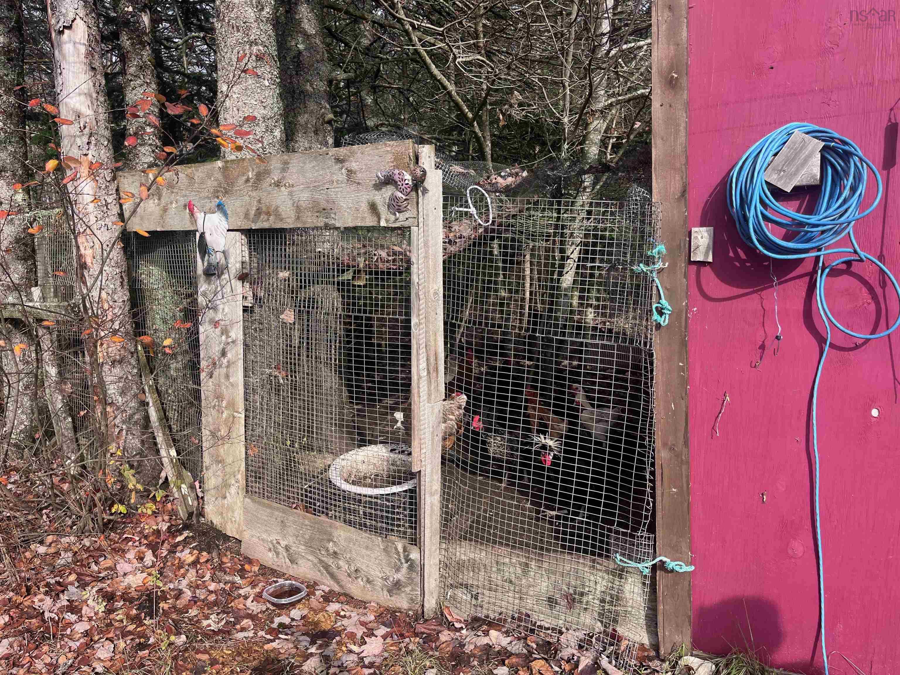 $229,000.00: 17092 Highway 316, Country Harbour Mines