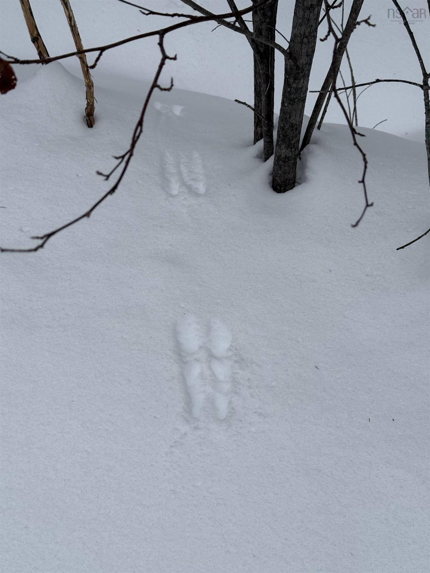 $99,999.00: 1 Barren Road, Seal Cove