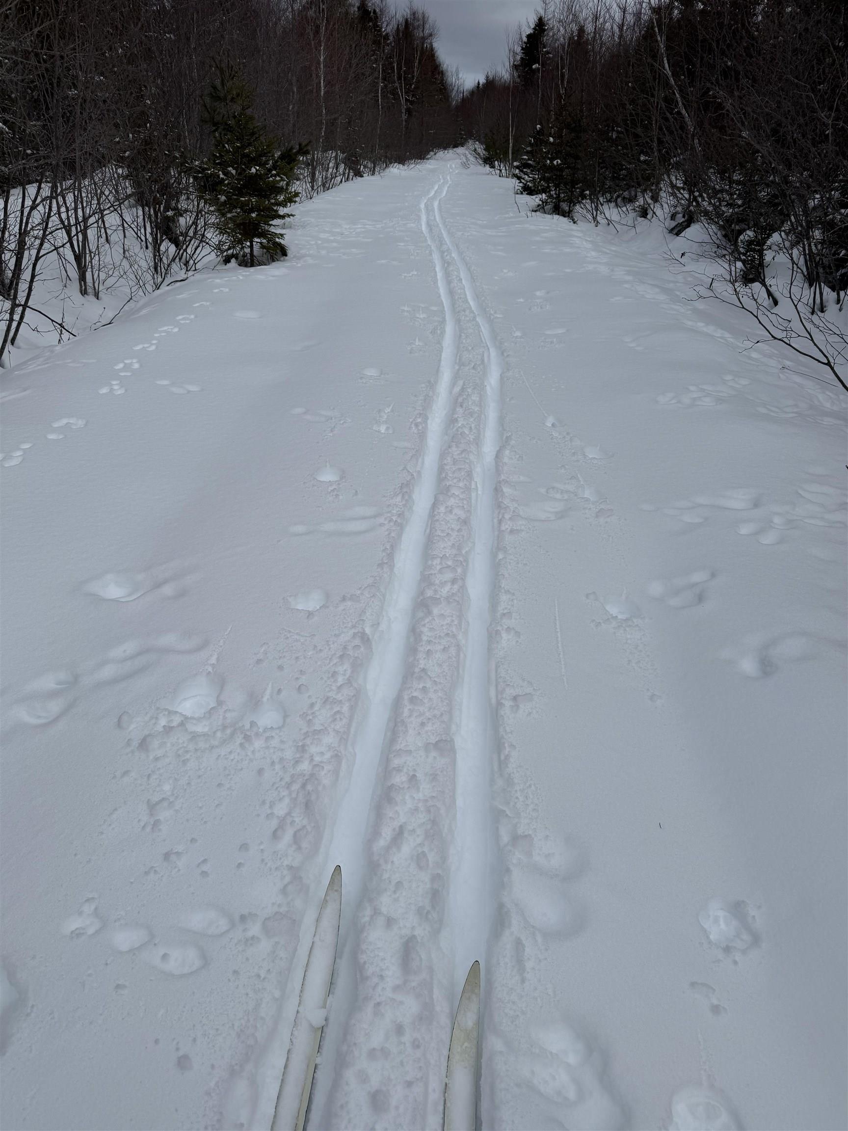 $99,999.00: 1 Barren Road, Seal Cove