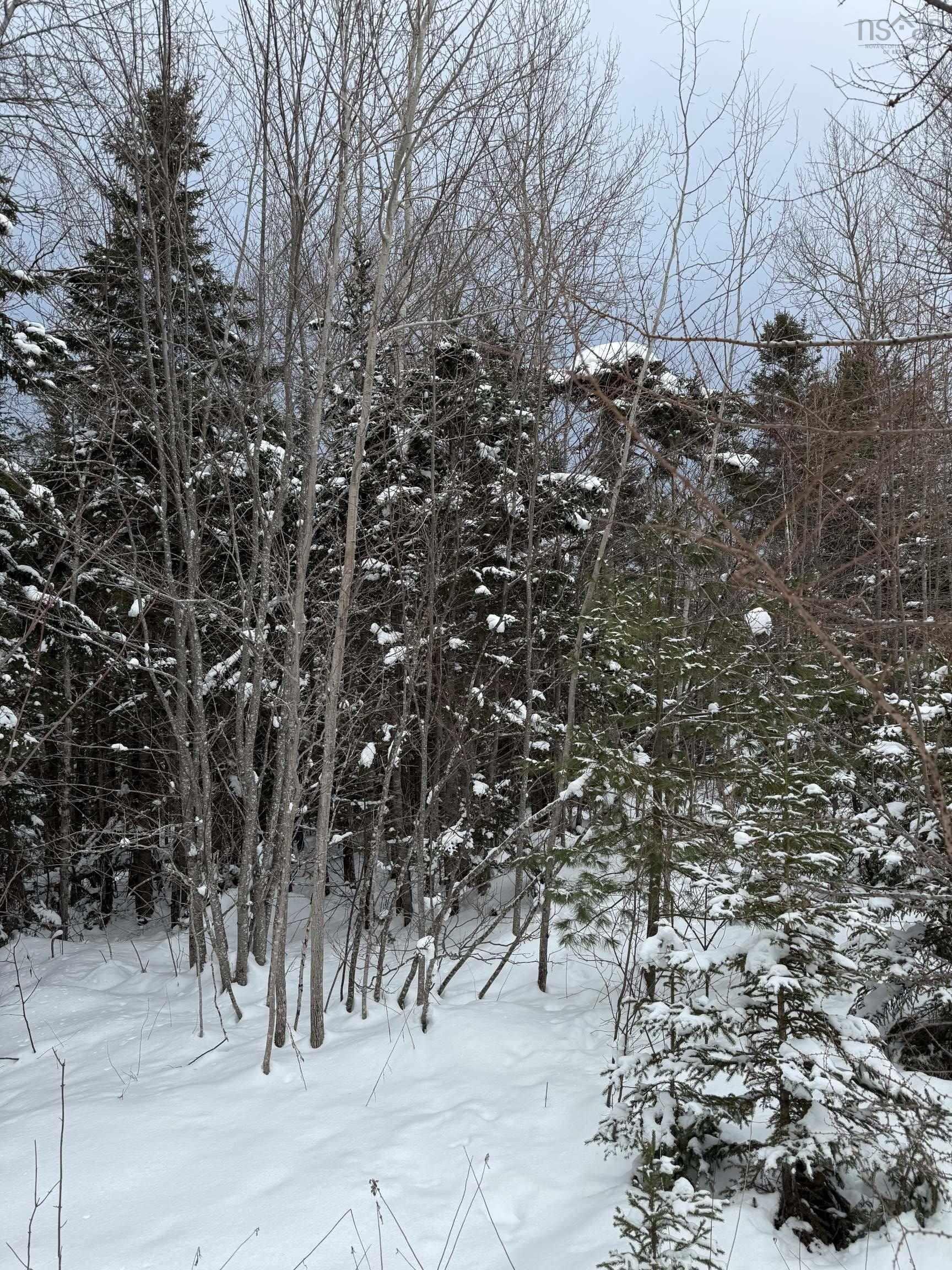 $99,999.00: 1 Barren Road, Seal Cove